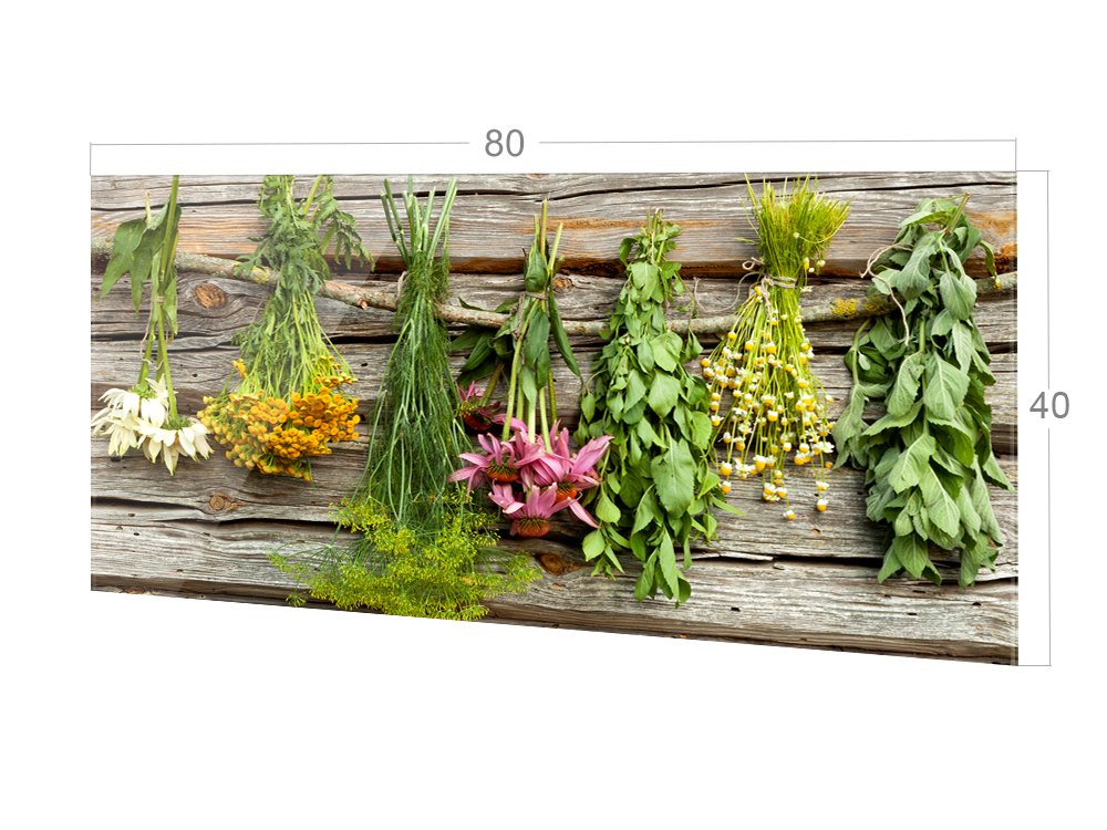 GRAZDesign Spritzschutz Glas für Küche Herd, Küchenkräuter, Küchenrückwand Küchenspiegel Glasrückwand, Herdblende Rückwand Küche, 4mm ESG Glas 80x40cm