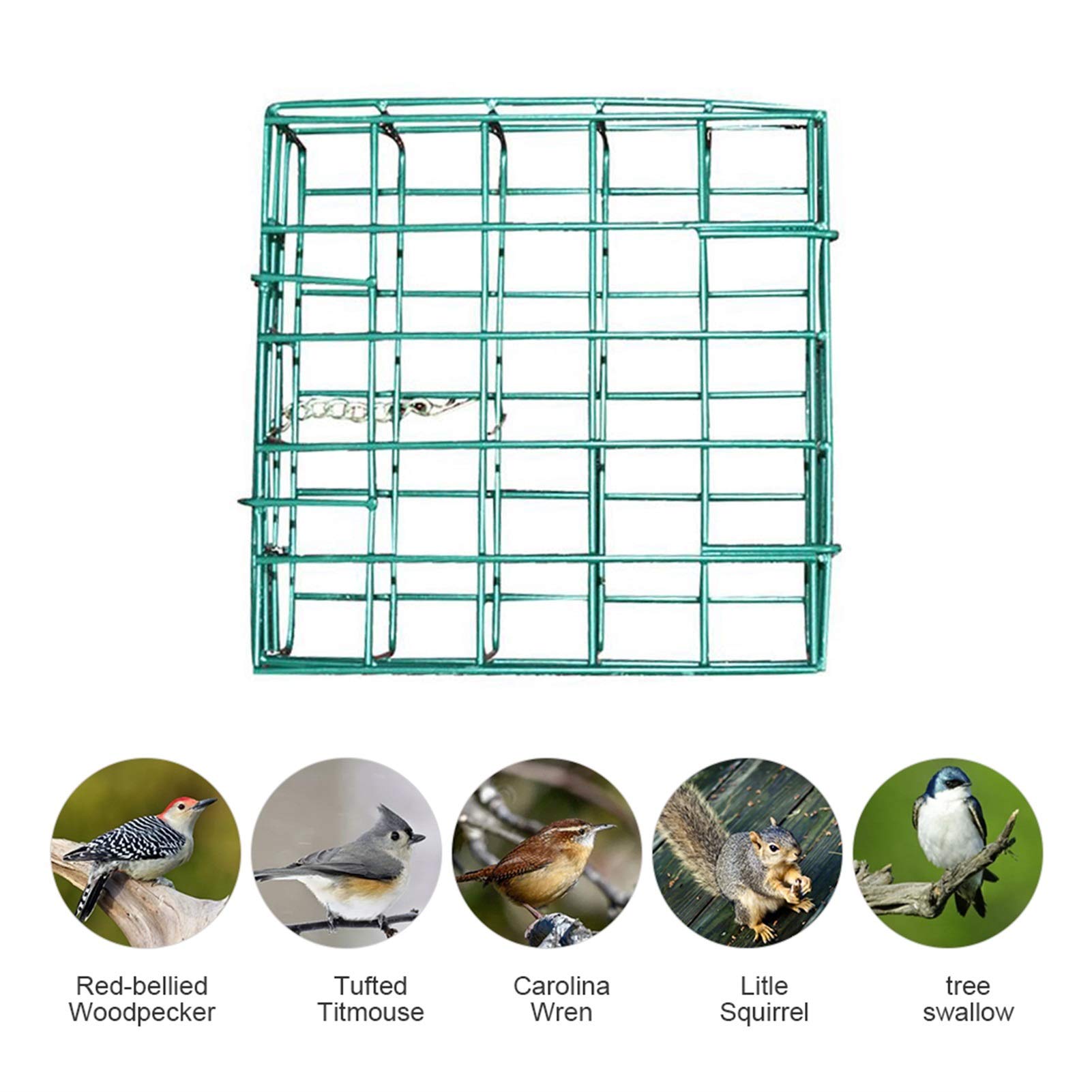 Comedero para Pájaros Dispensador de Alimentos de Aves de Aves de Aves Cuadrado Alimentador de pájaros Colgantes Alimentador de Sebum Comedero para Aves