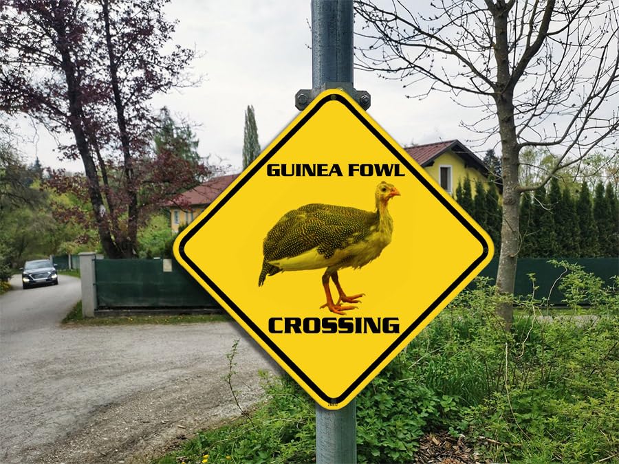 Weasel Crossing Warning Sign - 12x12 Inch Metal Tin Sign, Outdoor/Indoor Decor For Farm, Yard, Garage Or Man Cave - View #11