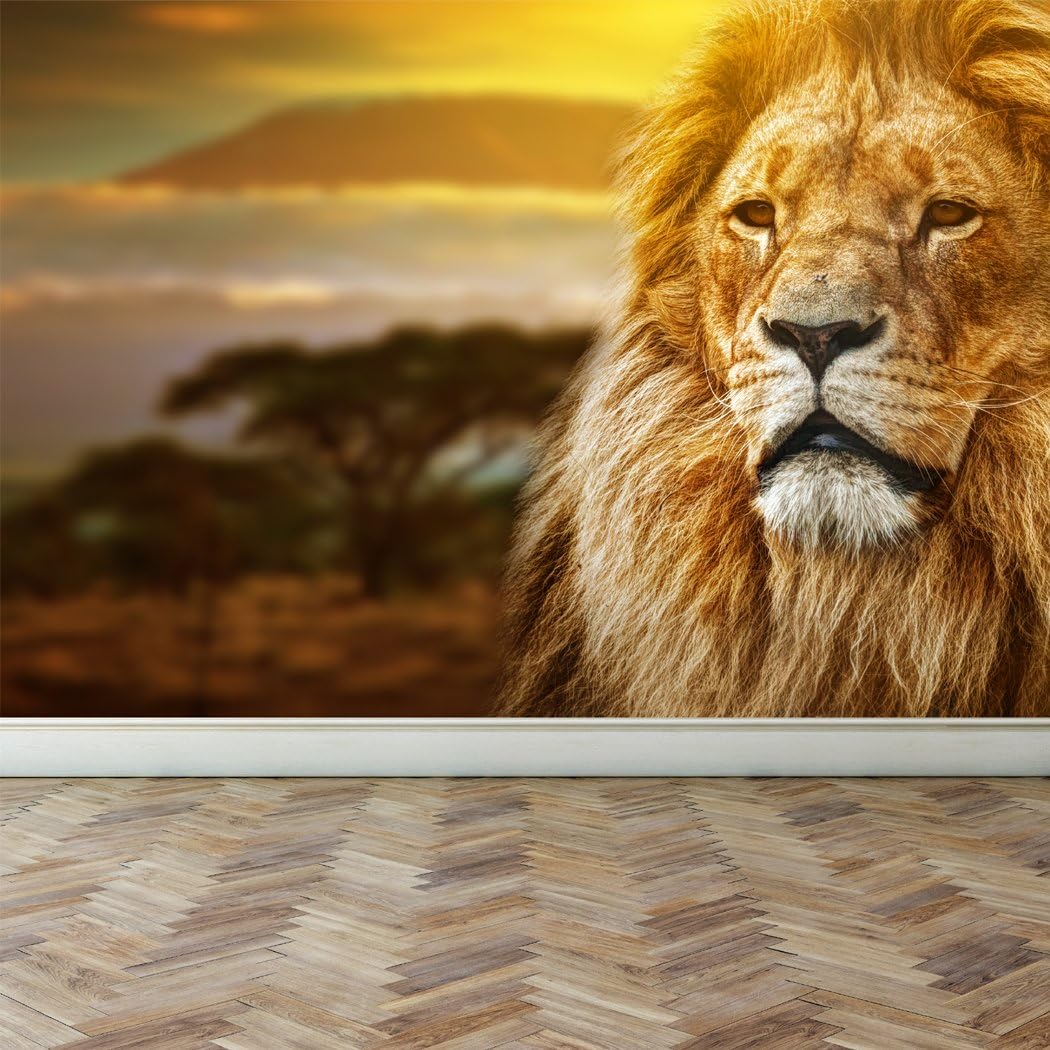 Wall Mural Lion on Savanna, Peel and Stick Repositionable Fabric Wallpaper for Interior Home Decor (118"w x 78"h)