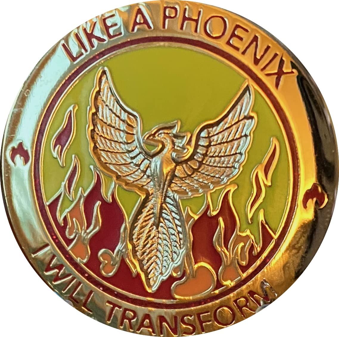 RecoveryChip I Will Transform Color Phoenix Rising from Flames Medallion