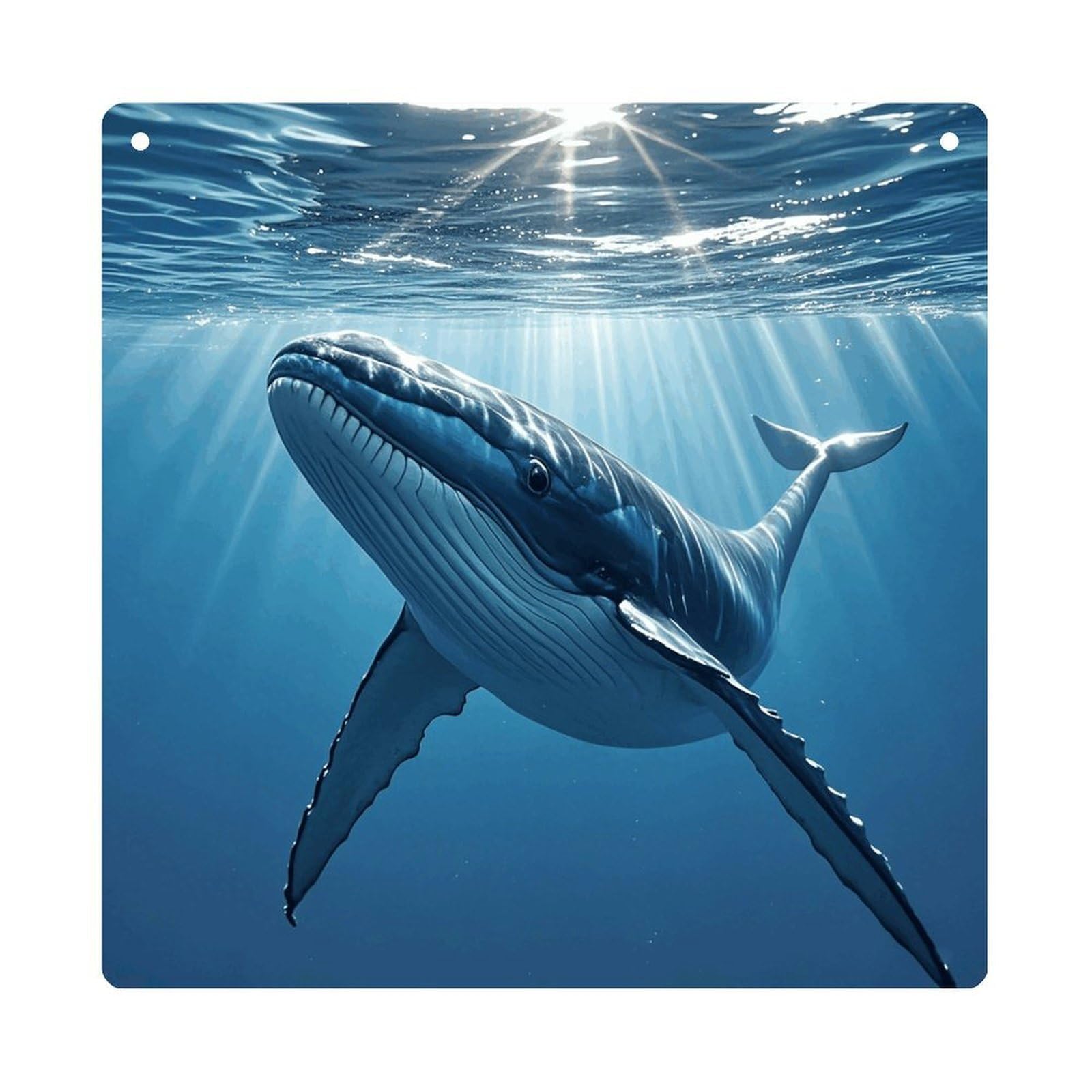 Swimming Fish-png Hanging Ornament Wall Decor Pendant