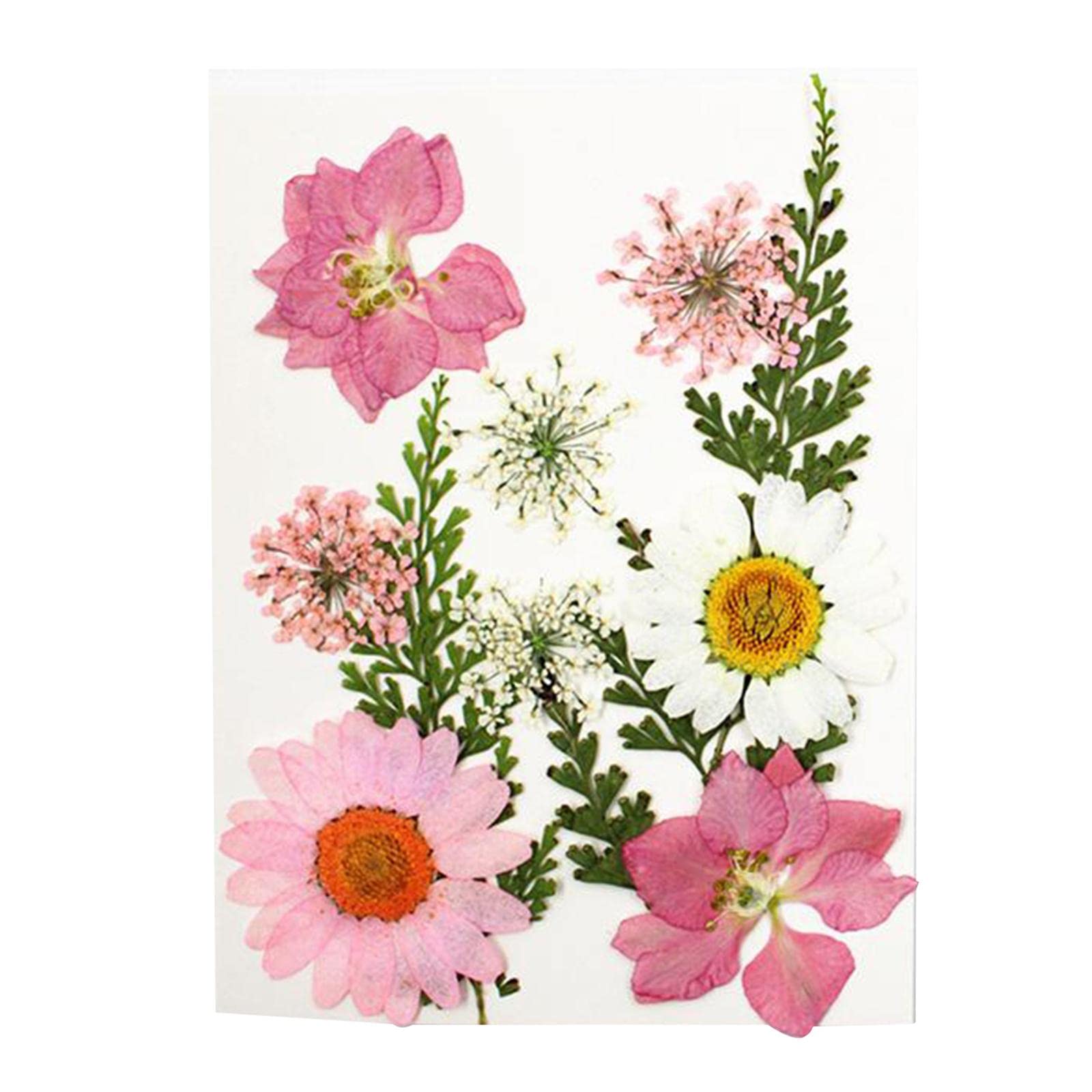 Pressed Dried Flowers Real Leaves for DIY Jewelry Resin Crafts Pink |Crafts | Home Arts & Crafts | Floral Crafts | Dried Botanicals & Potpourri | Dried Flowers-image-27
