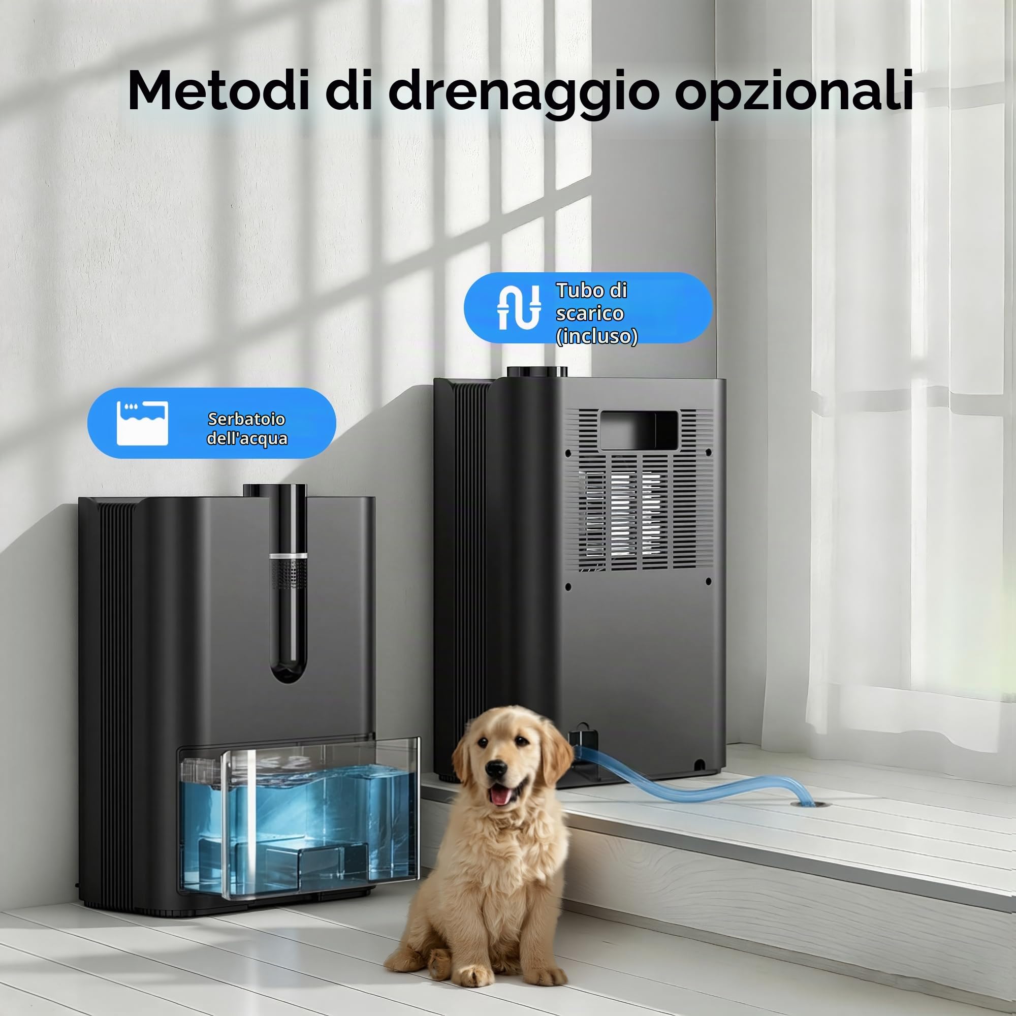 Deumidificatore Casa, 2500ML Dehumidifier per Casa Muffa, Deumidificatore Elettrico Silenzioso con Tubo di Scarico, Spegnimento Automatico, Modalità Sleep, Deumidificatori per Bagno,Camera,Armadio