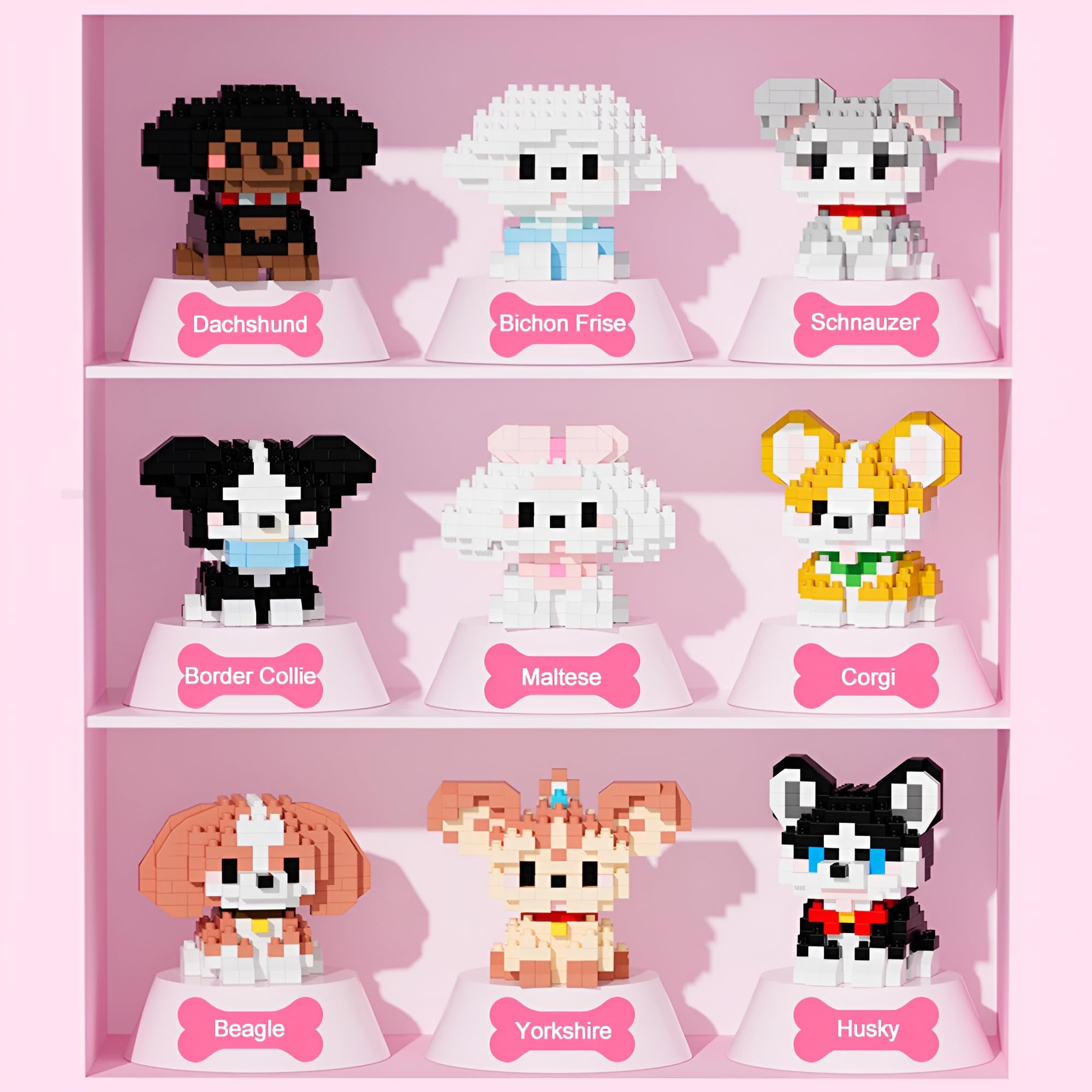 View 5