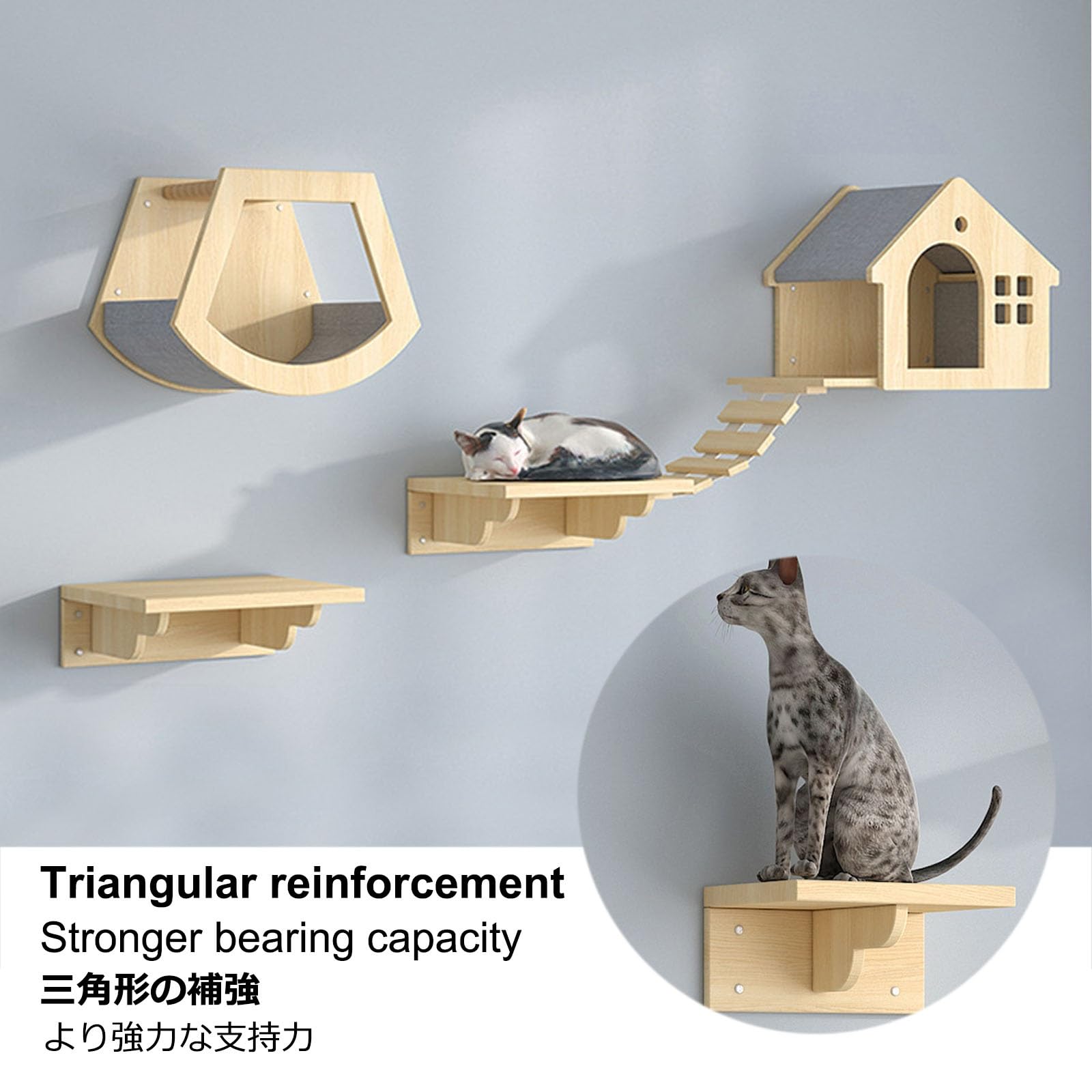 Amazon.co.jp: 猫 壁 キャットウォーク キャットステップ キャット