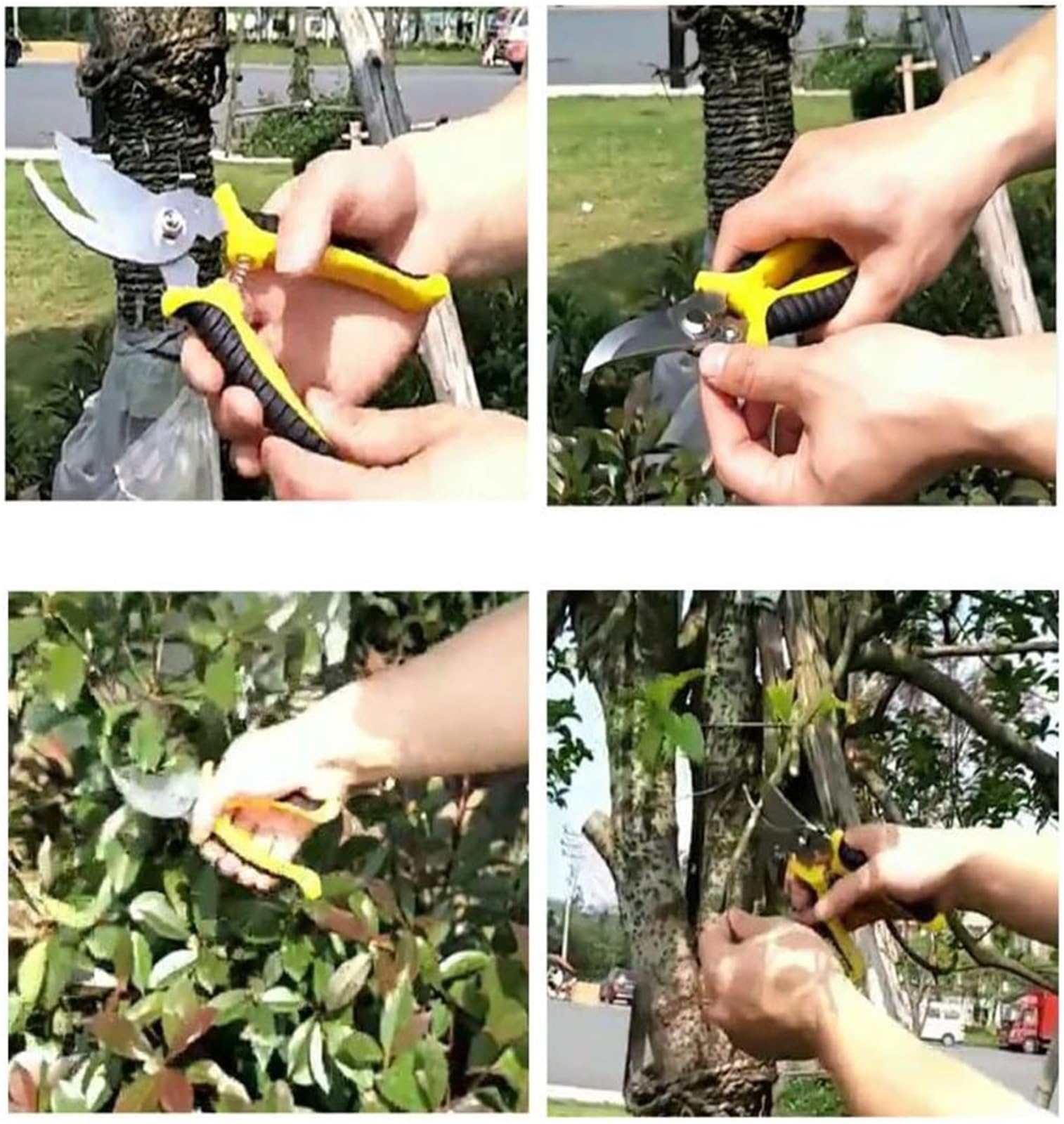 Gartenschere, Leichte Hand-Gartenschere aus rostfreiem Stahl for glatte und saubere Schnitte, professionelle Gartenschere for Schneiden von lebenden Blumen, Pflanzen leichten Ästen, Heimwerkzeuge