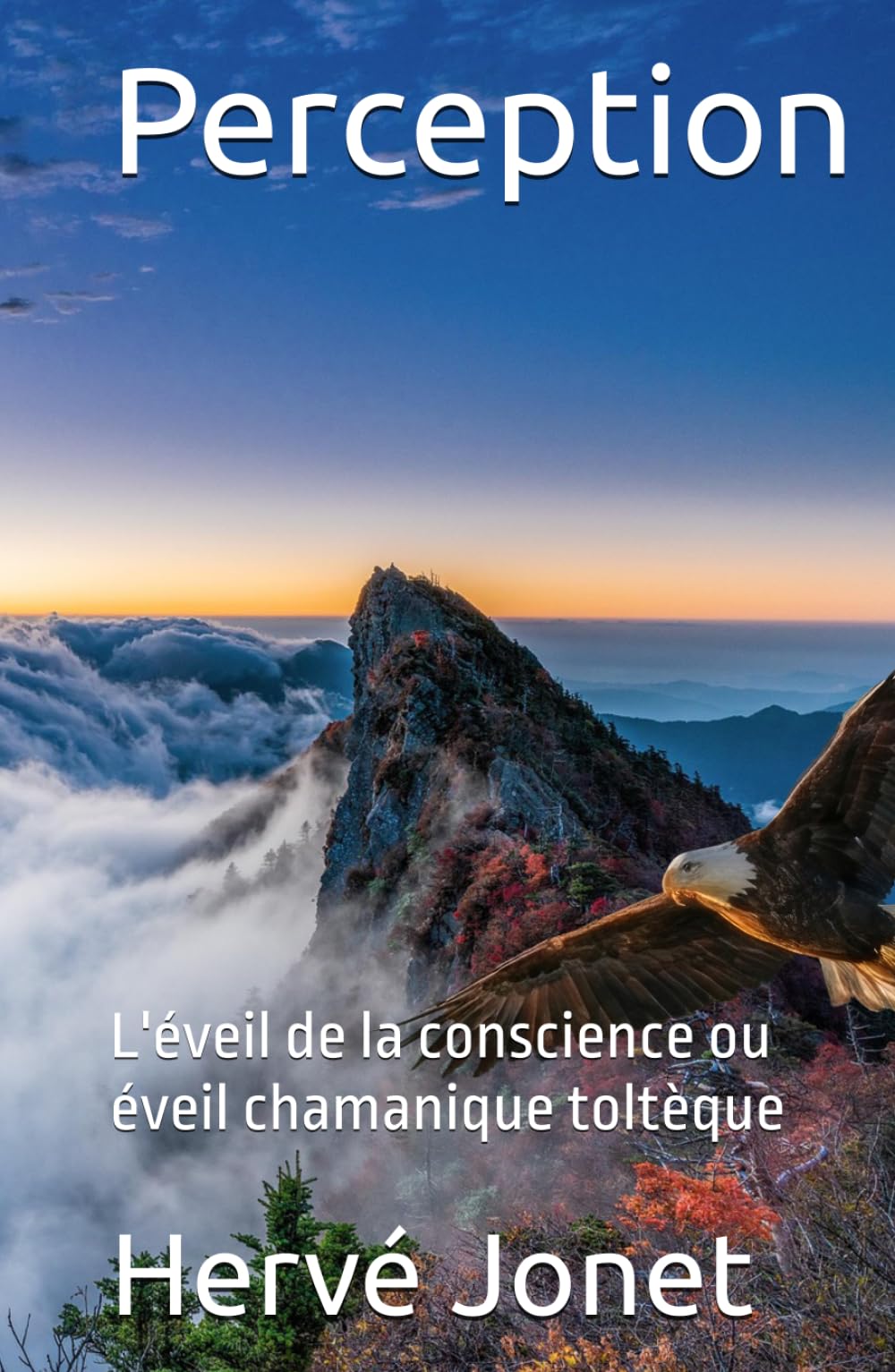 Perception: L'éveil de la conscience ou éveil chamanique toltèque
