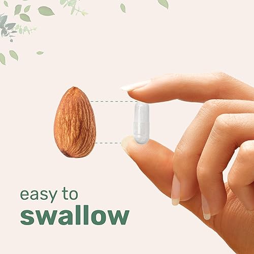 Miniatura 5 de Micro Ingredients NAC con NAD+, 240 cápsulas vegetarianas 1,200 mg por porción N-acetil-L-cisteína 2 en 1 con nicotinamida adenina dinucleótido