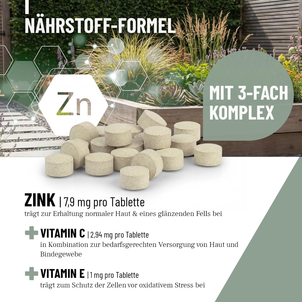 Comprimés de Zinc ReaVET pour Chiens 120 pièces - Haute Dose de vitamines C et E - comprimés de Zinc Plus vitamines pour Peau sèche, Perte de Poils