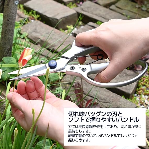 Spear & Jackson 4452JS Razorsharp Japanese Style Scissors, Silver
