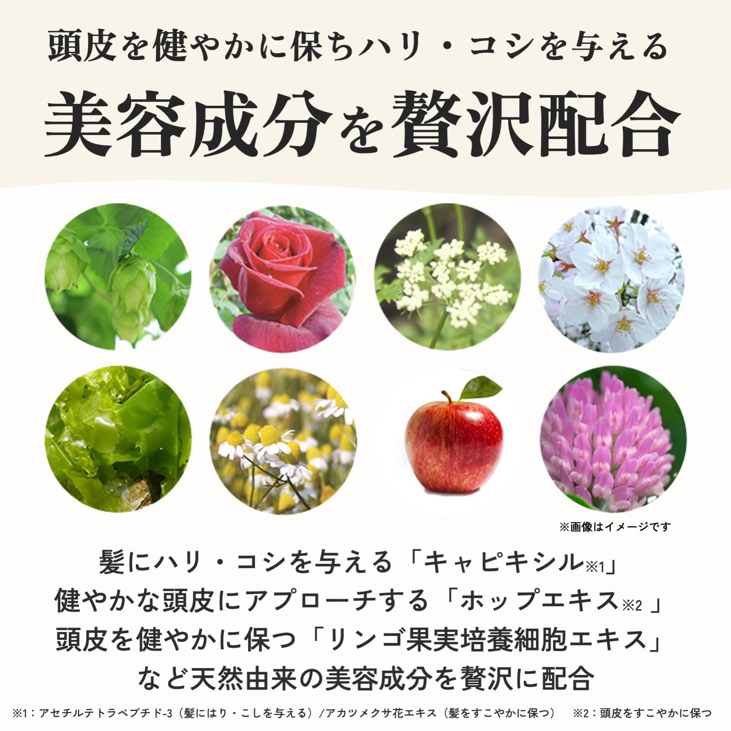 フルーツオブライフ　オールインワン　サイズ2 100ml ファッション フルーツオブライフ オールインワン サイズ2