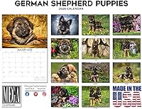 Vista 1087 de Razas de Perros 2017