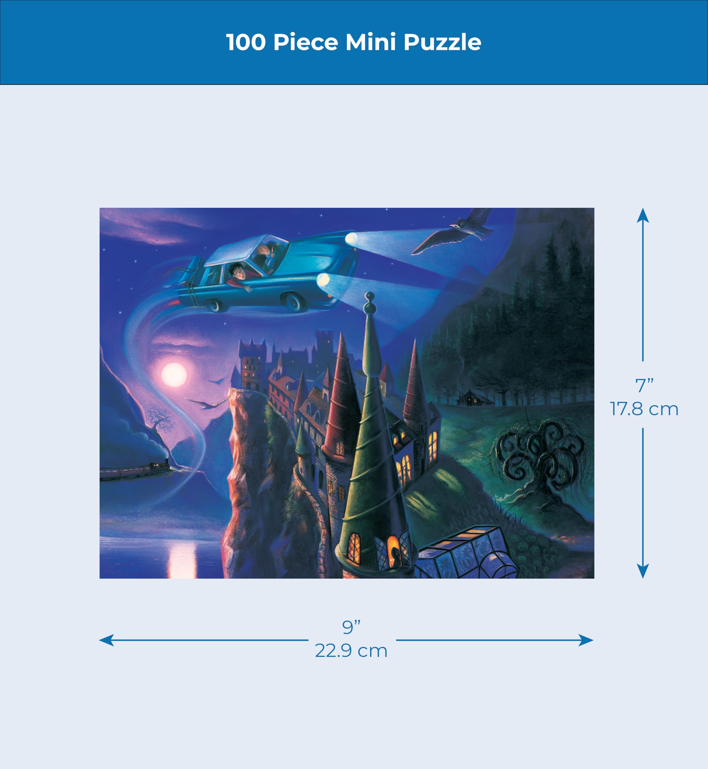 Amazon.com: New York Puzzle Company - Harry Potter The Enchanted