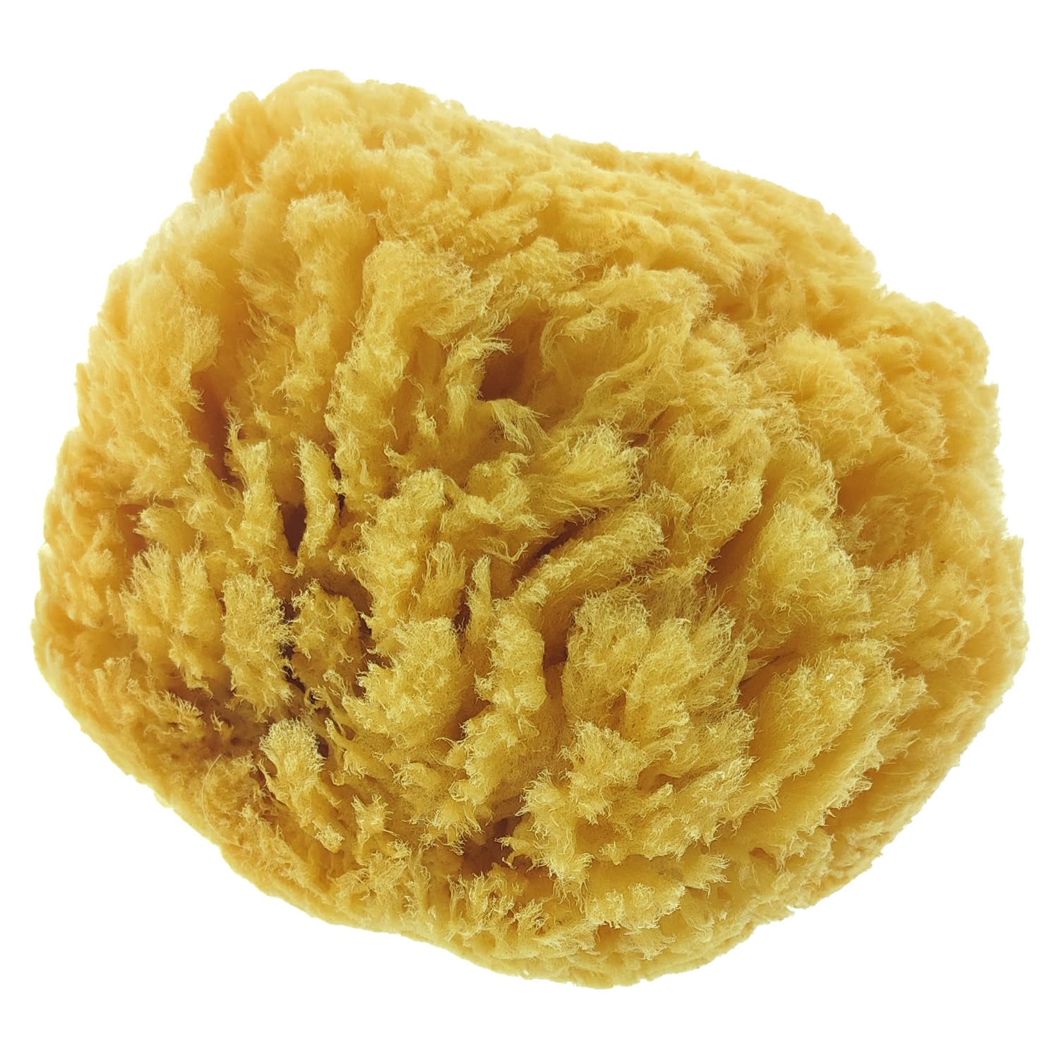 Esponja natural, encerada natural, aprox. 140 mm (1 unidad)