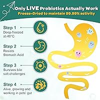 Vista 4 de Probióticos para perros, probióticos para perros con enzimas digestivas, prebióticos, omega-3 y 6 y vitaminas para perros Salud digestiva, 6 mil