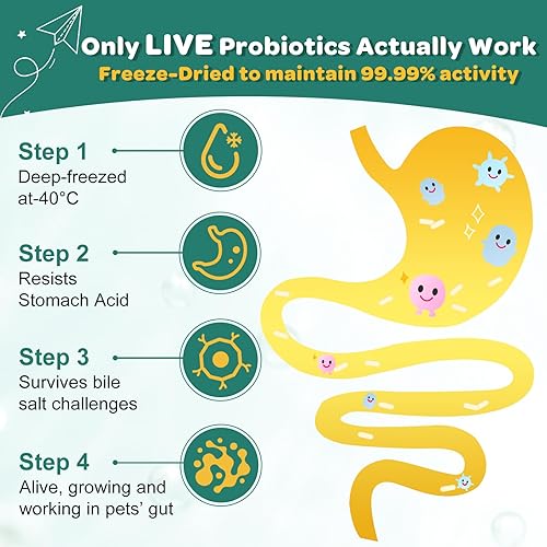 Miniatura 4 de Probióticos para perros, probióticos para perros con enzimas digestivas, prebióticos, omega-3 y 6 y vitaminas para perros Salud digestiva, 6 mil