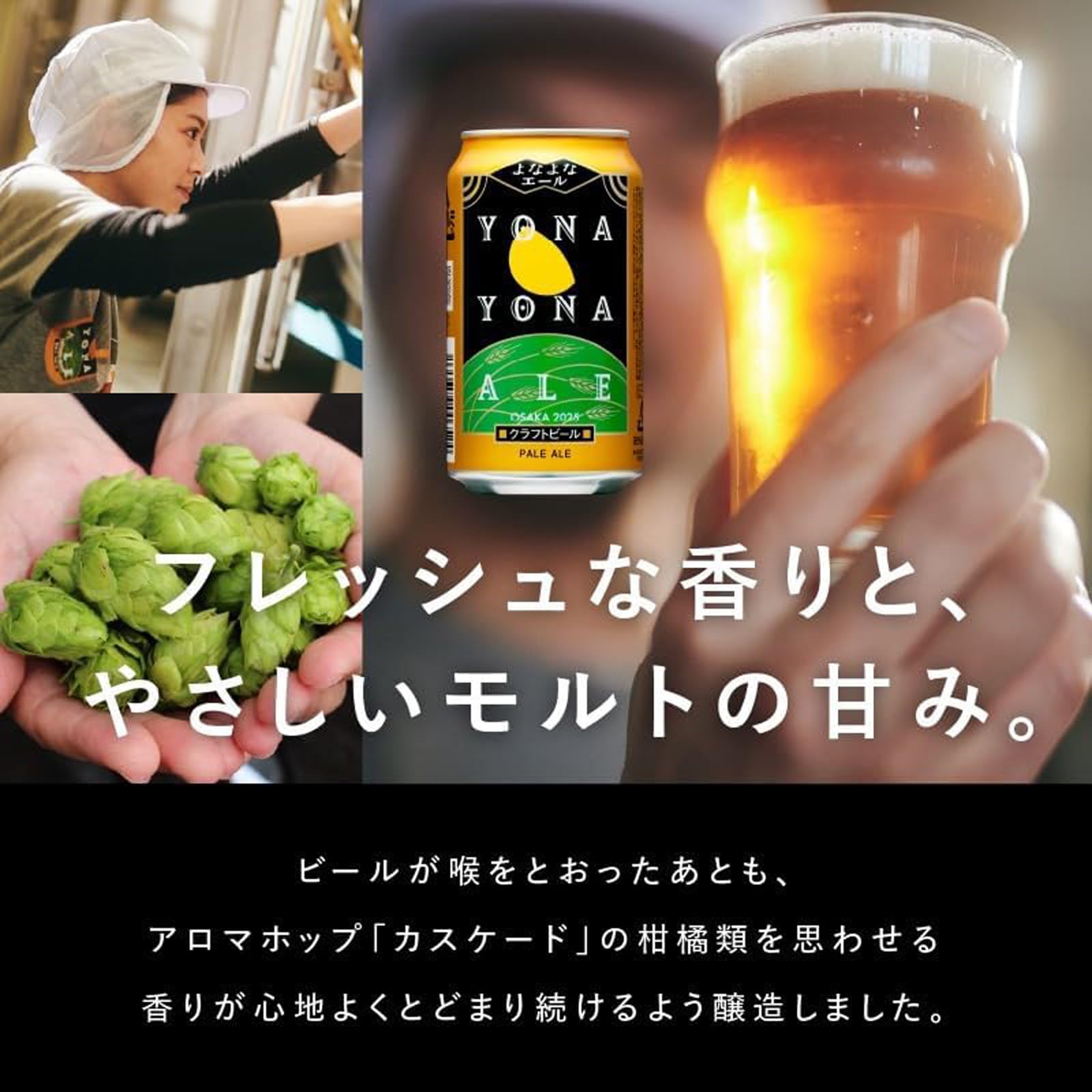 Amazon.co.jp: よなよなエール クラフトビール 3種 飲み比べセット
