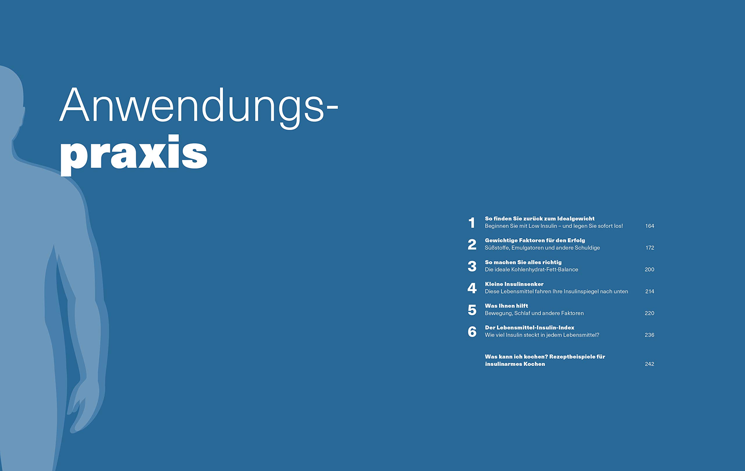 Wie Insulin uns alle dick oder schlank macht: Wissenschaft, neuster Stand: wie Sie Ihre Fettverbrennung selbst aktivieren