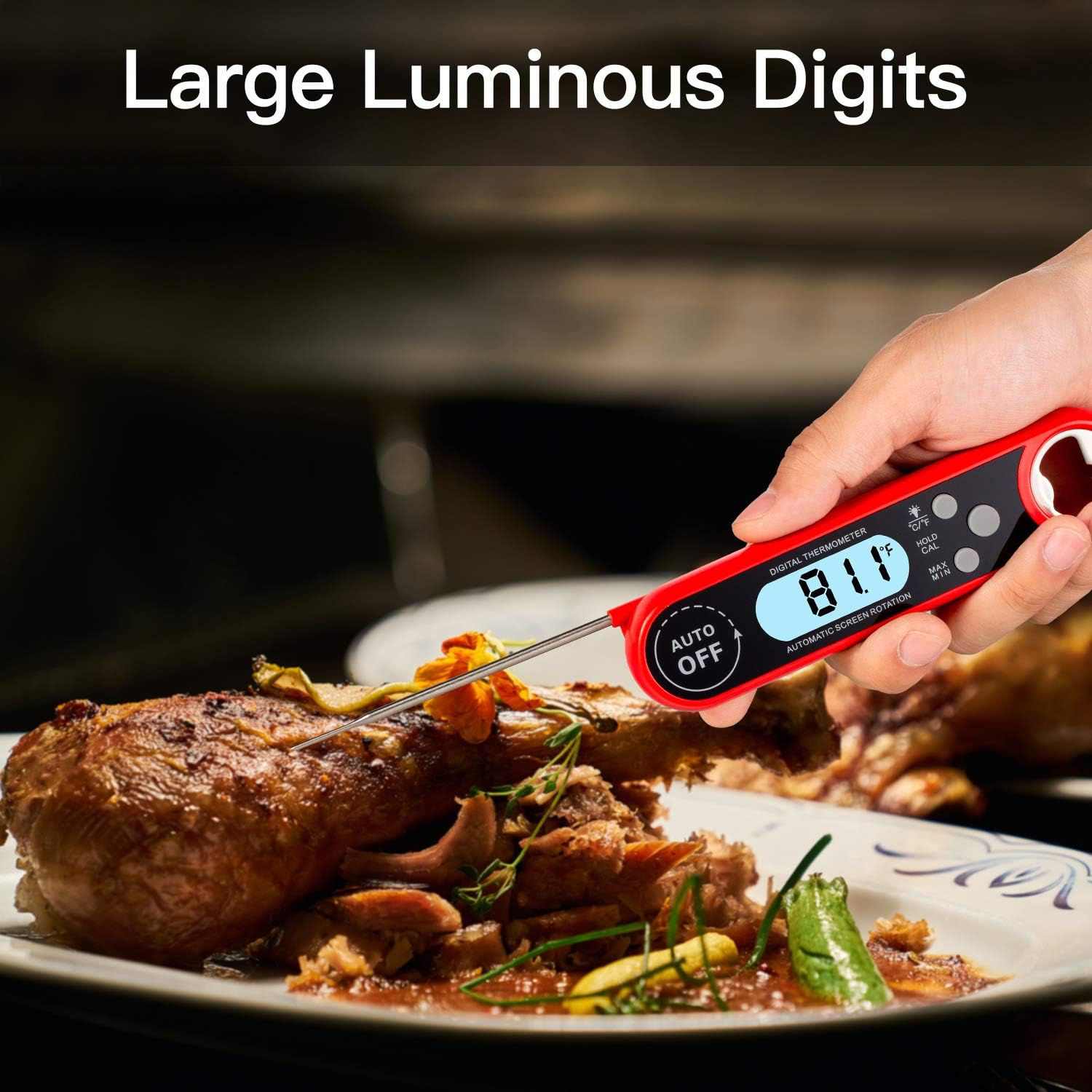 review KitchVit Instant Read Digital Meat Thermometer for Kitchen Cooking Food Candy Milk with Foldable Probe for BBQ Temperature