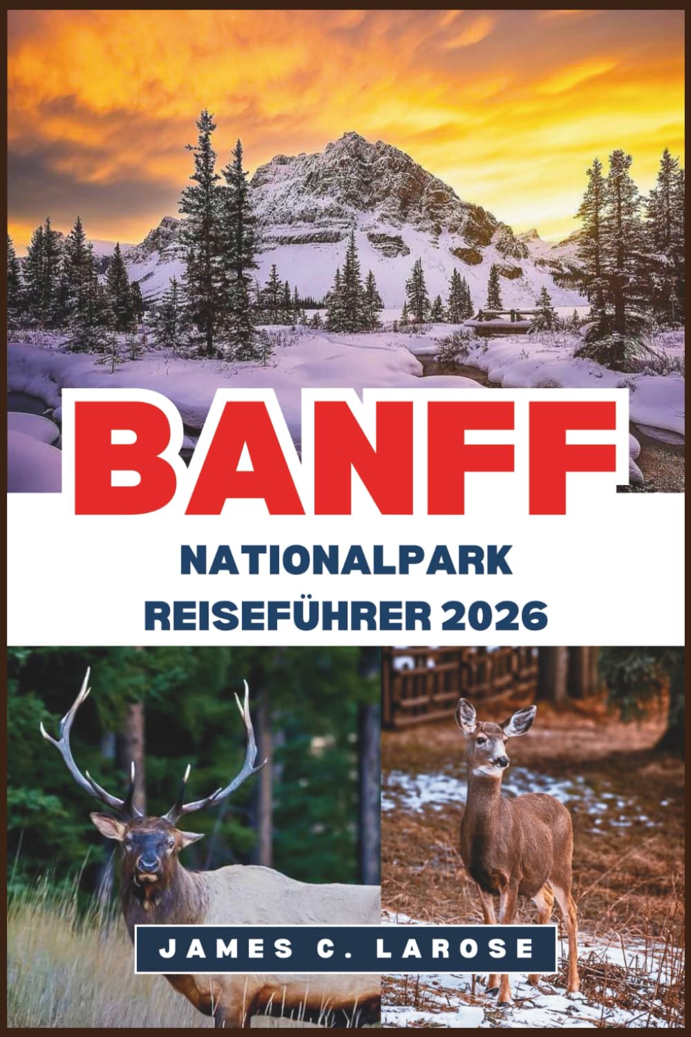 BANFF Nationalpark Reiseführer 2026: Erkunden Sie malerische Wanderwege, majestätische Seen und abenteuerliche Tierbeobachtungen.
