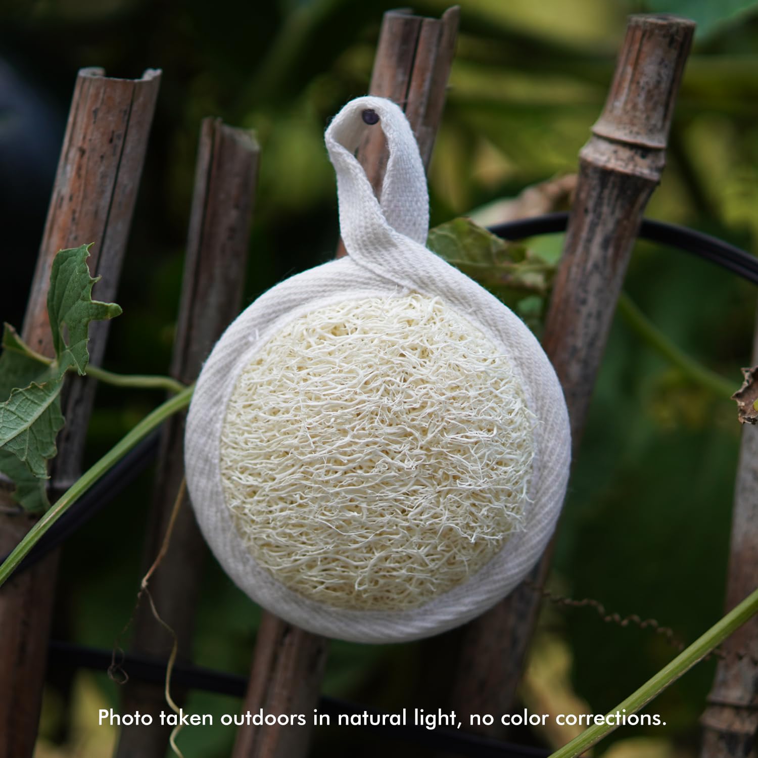 Spugna esfoliante per il viso in luffa naturale, 12 pezzi, spugna organica per la pulizia del corpo, 8 cm, esfoliante per il viso, spazzola e massaggiatore, per uomini e donne, pelle liscia e luminosa