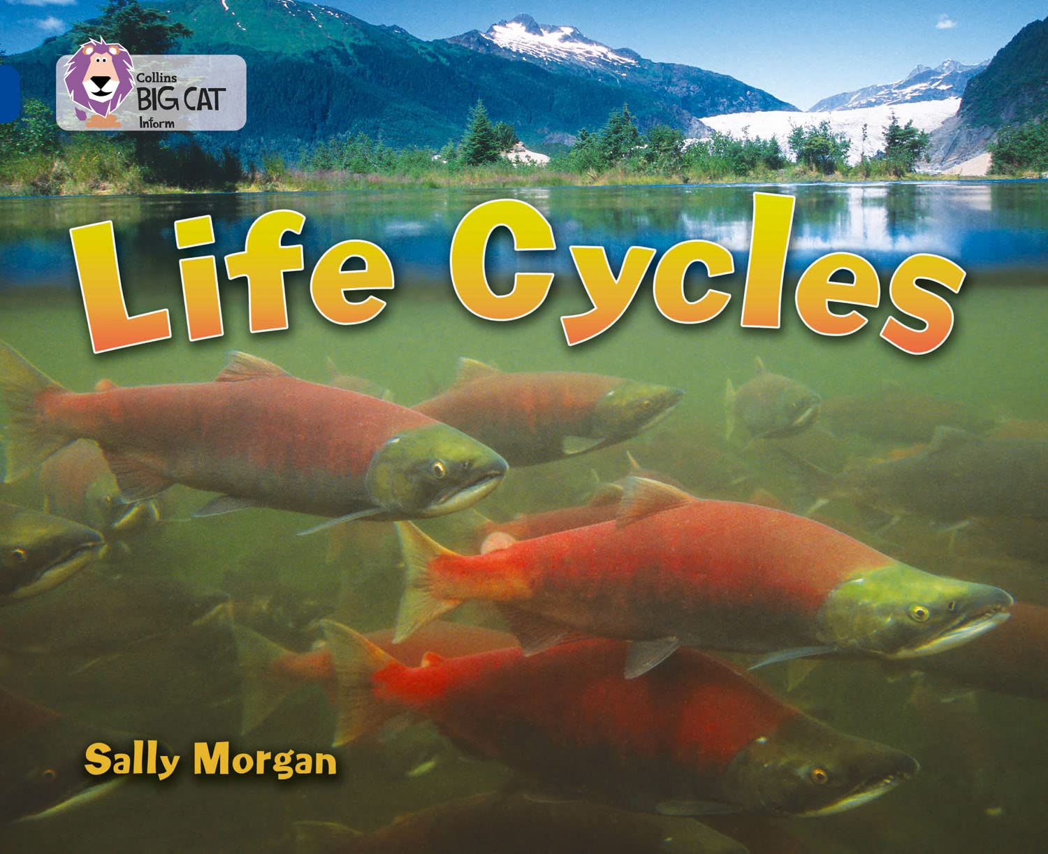Life Cycles : Band 16/Sapphire