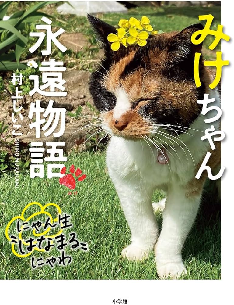 ヒカゲノカズラ　　みーにゃん様 ヒカゲノカズラ みーにゃん様 ヒカゲノカズラ綱 - Wikipedia