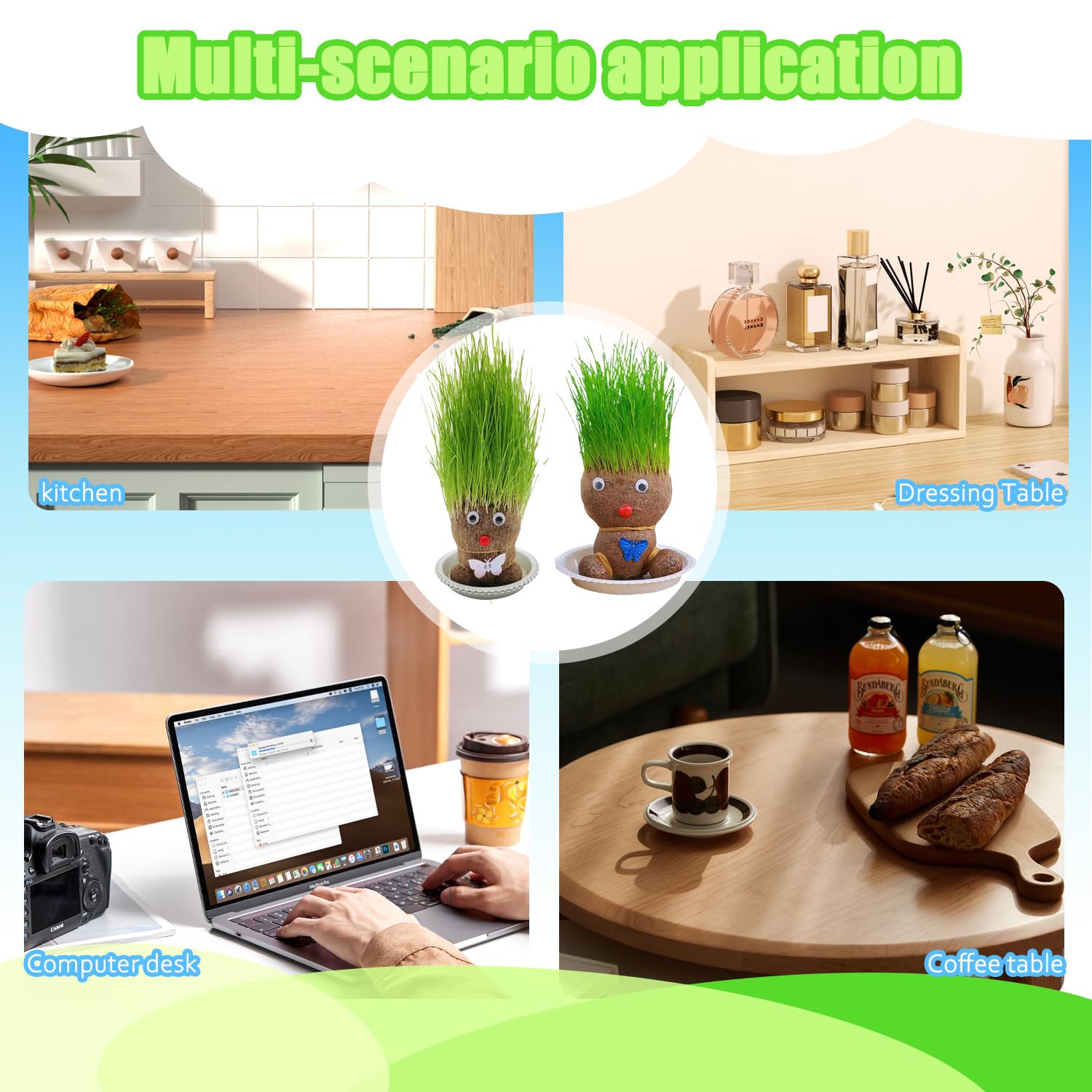 Mini Bonsaï Tête d'Herbe Grass Head avec Plateau - 2 Plantes (M3)