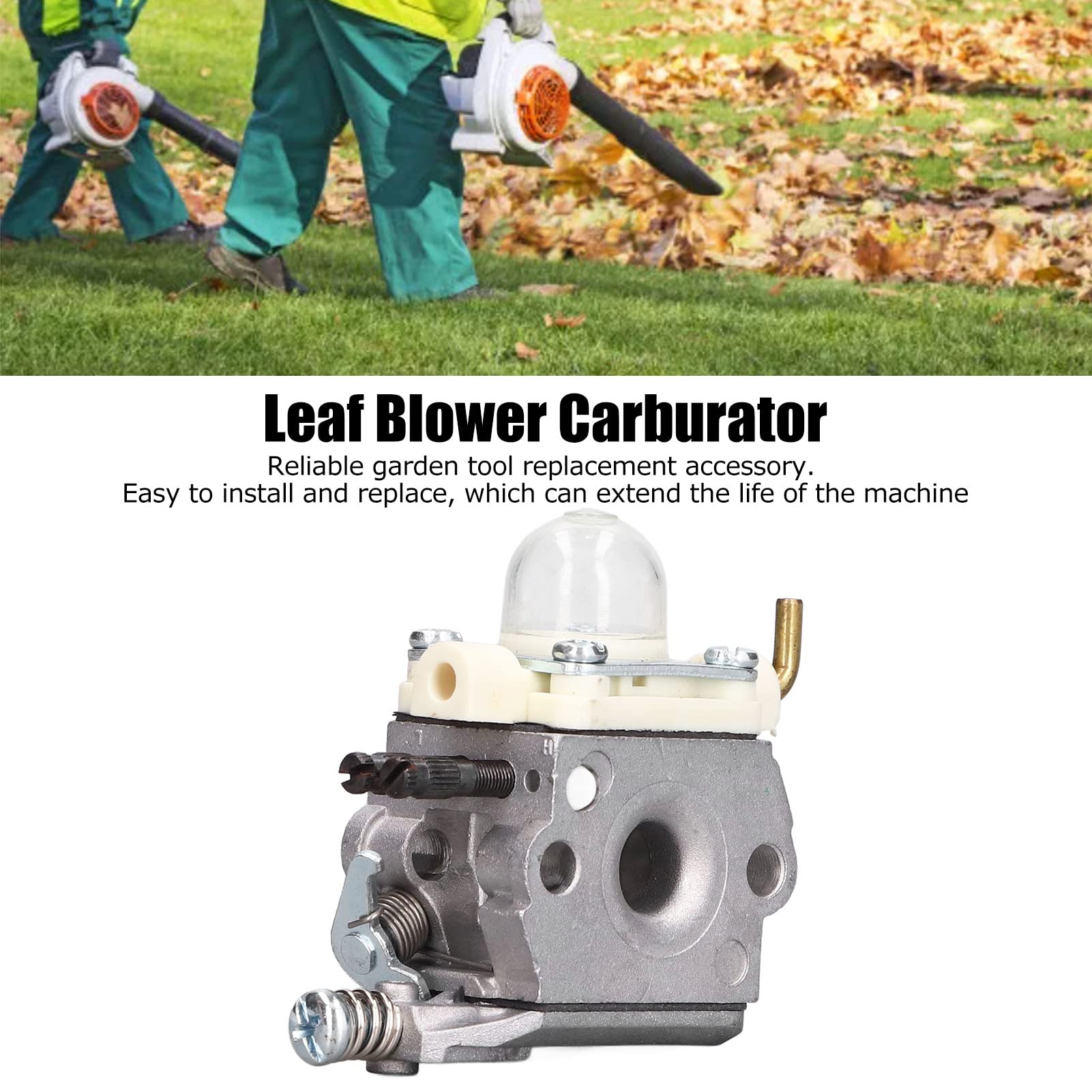 BAOFUYA Vergaser-Kit Für Laubbläser WTA-33-1 PB-250 – Inkl. Zündkerze & Ölfilter, Aluminium, Kompakt