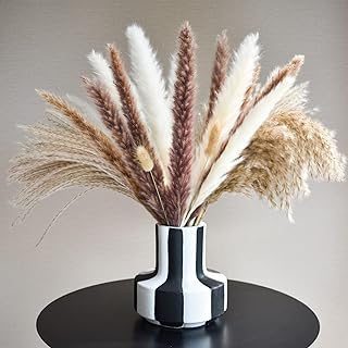Achyhavin 67Pcs | Premium Natural Dried Pampas Grass,17in / 45cm Pampas Grass Decor, Pampas Bouquet for Wedding Kitchen Ya...