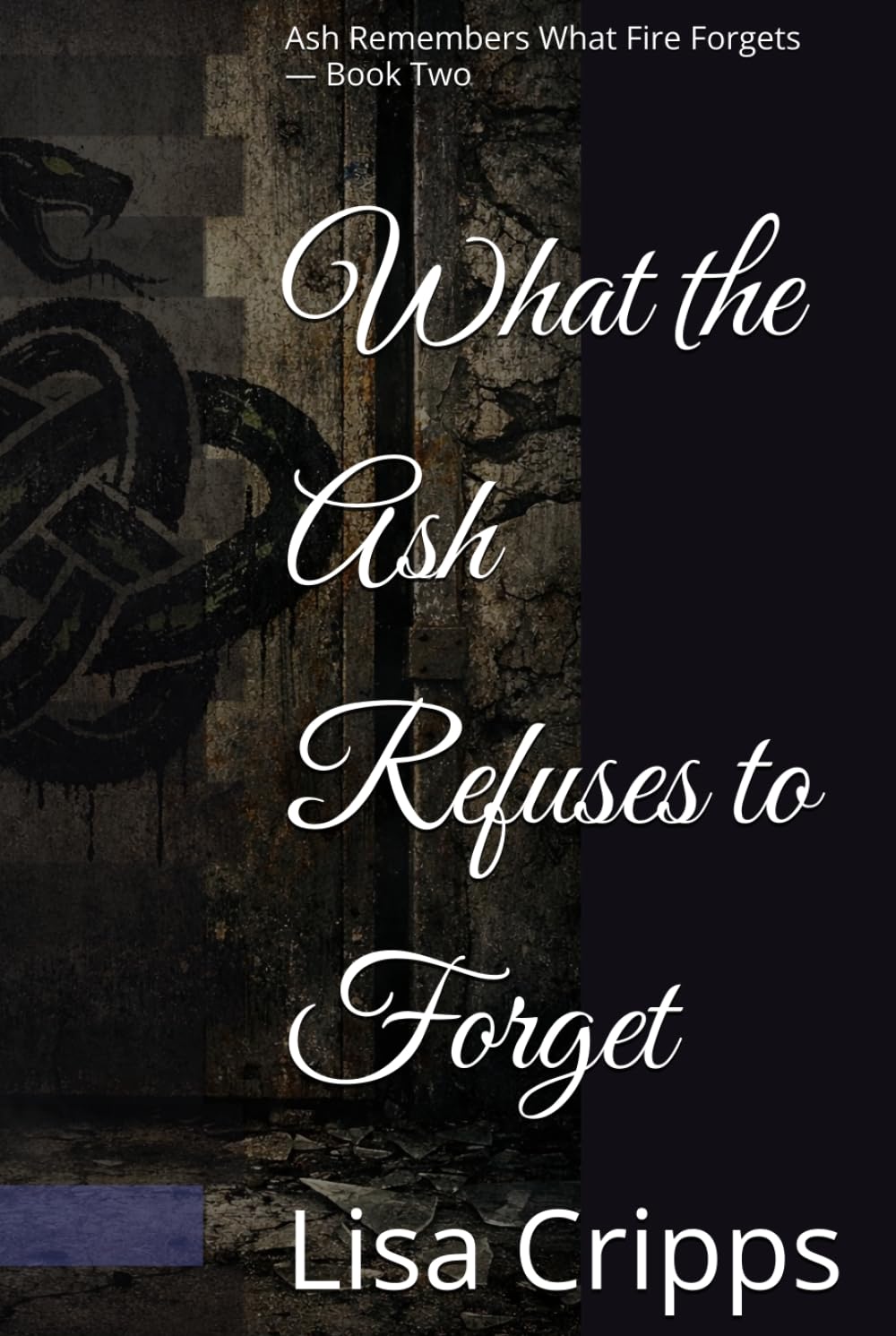What the Ash Refuses to Forget: Ash Remembers What Fire Forgets — Book Two