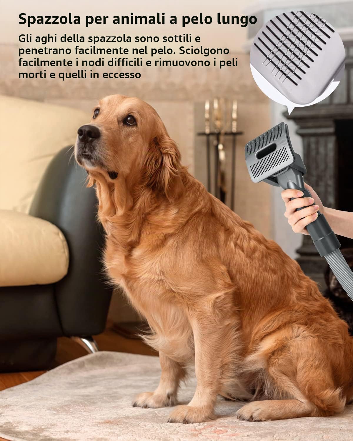 Spazzola per Cani,Peli Cane Gatto Compatibile per Dyson V11 V10 V8 V7,Spazzola Aspira Peli Animali Domestici con Adattatore Convertitore,2 Fermo Tasto Accensione,2 Spazzolini,Pet Grooming Kit Ricambi