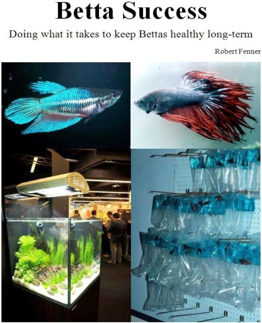 Betta Success: Doing what it takes to keep Bettas healthy long-term (Successful Aquariums)