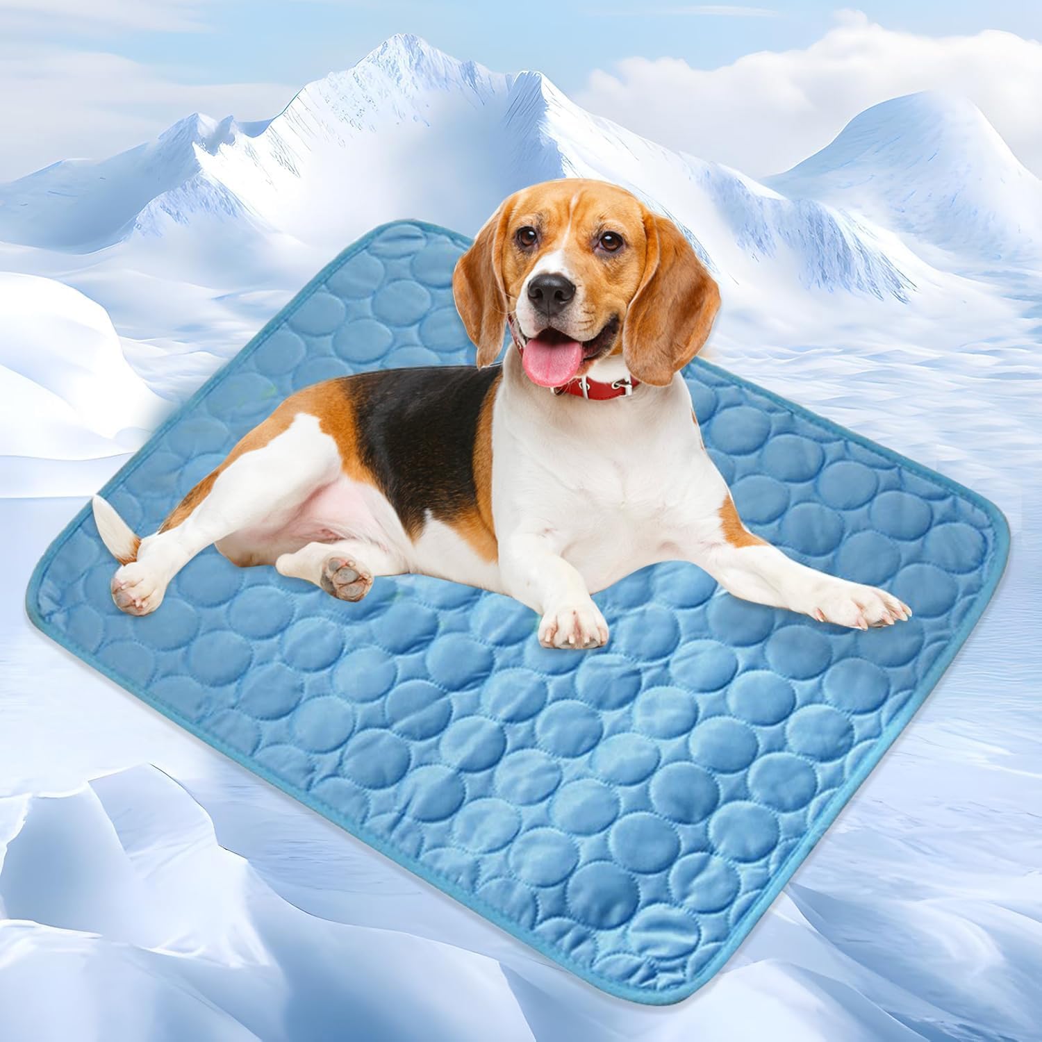 Dog Cooling Mat(Blue,19.7" L x 15.7" W) S:19.7*15.7in Blue