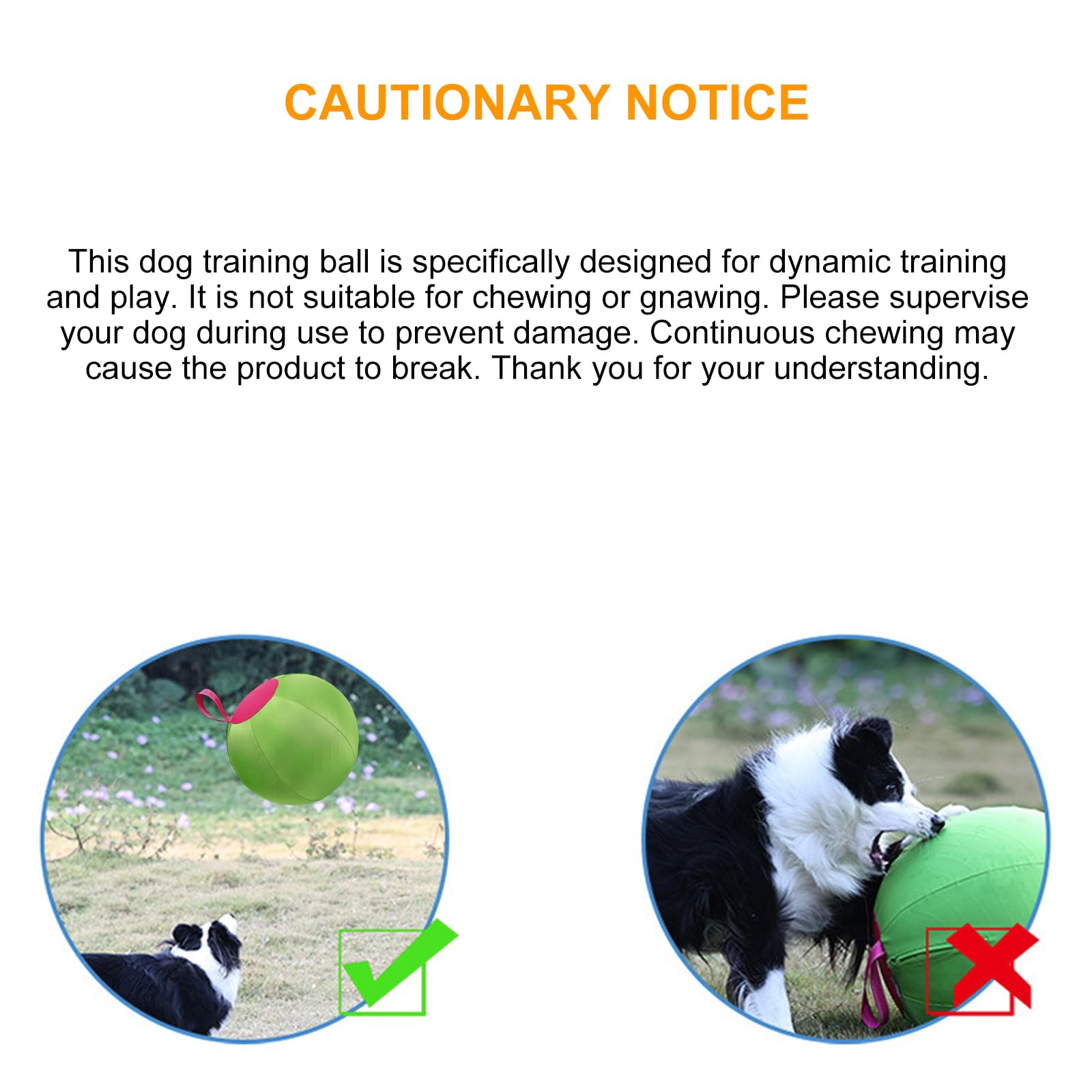 Pelota inflable para perros para jugar al aire libre y hacer ejercicio, pelota inflable grande para pastores, corgis collies, juguete interactivo para perros