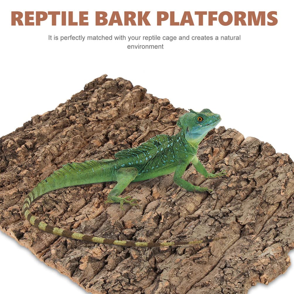 Totority Plantes décoratives en liège pour terrarium, 3 pièces de fond en liège décoratif en écorce d'arbre pour reptiles grimpants pour gecko, lézard, tortue, grenouille, dragon barbu