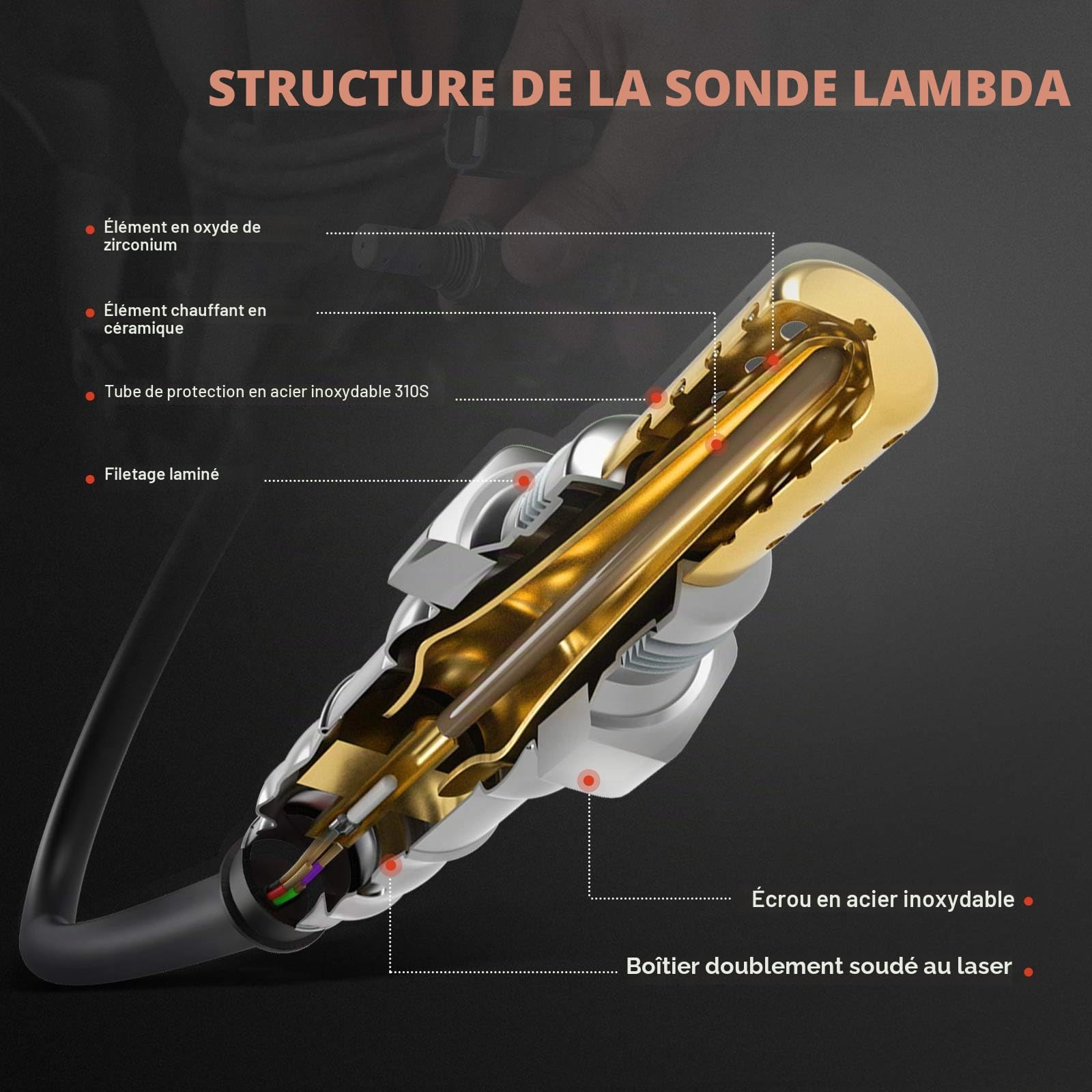 Frankberg 4x Sonde lambda avant/après Catalyseur Compatible avec Série 3 E46 2.0L-3.0L 1998-2007 Série 5 E39 E60 E61 2.0L-4.9L 1995-2010 Remplacer# 11781433940 | Compatible avec: Série 3 E46, Coupé Série 3 E46, Série 3 Cabriolet E46, Série 5 Touring E39,