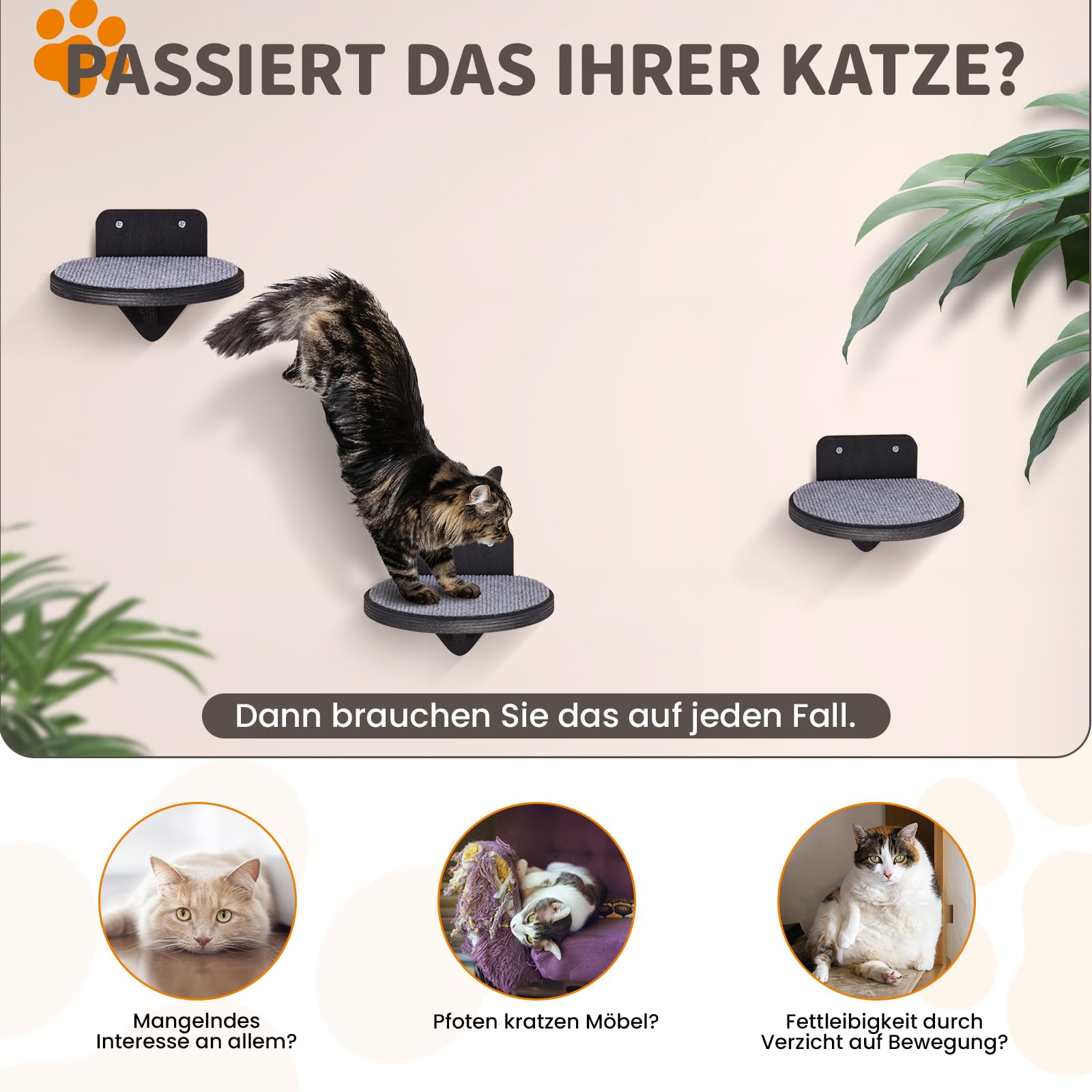 Premium Kletterwand Katzen aus Birkenholz | 3er-Set Katzentreppen mit Kratzflächen | Wandmontage Katzenleiter | Kletternetz für Katzen