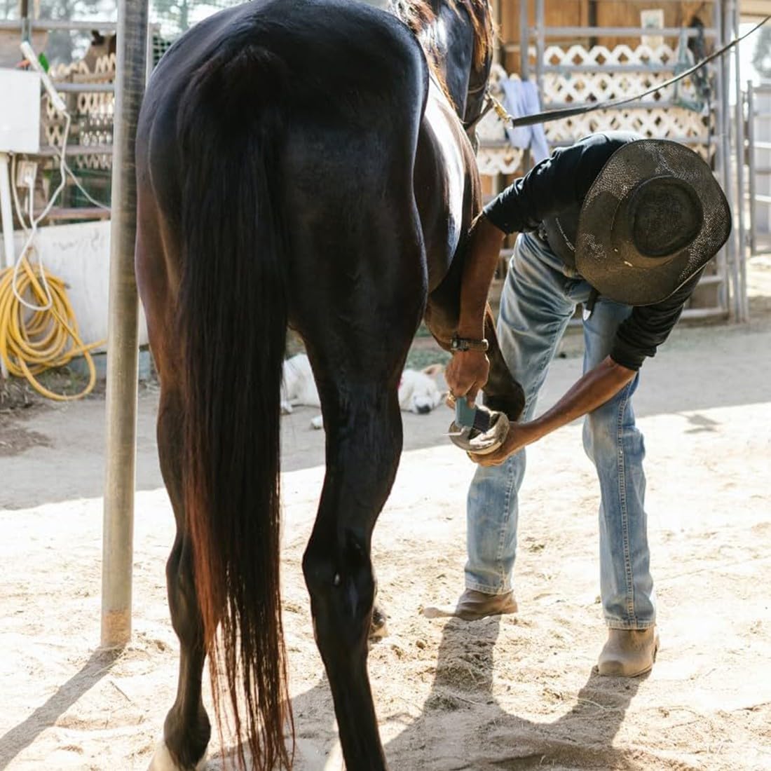 2Pcs Cuidado de los Cascos del caballo 2 Raspadores de Pezuñas con Cepillo 2 en 1, Accesorios para el Cuidado de Caballos, Adecuados para Limpiar Pezuñas y Cuidar Pezuñas Suministros De Limpieza
