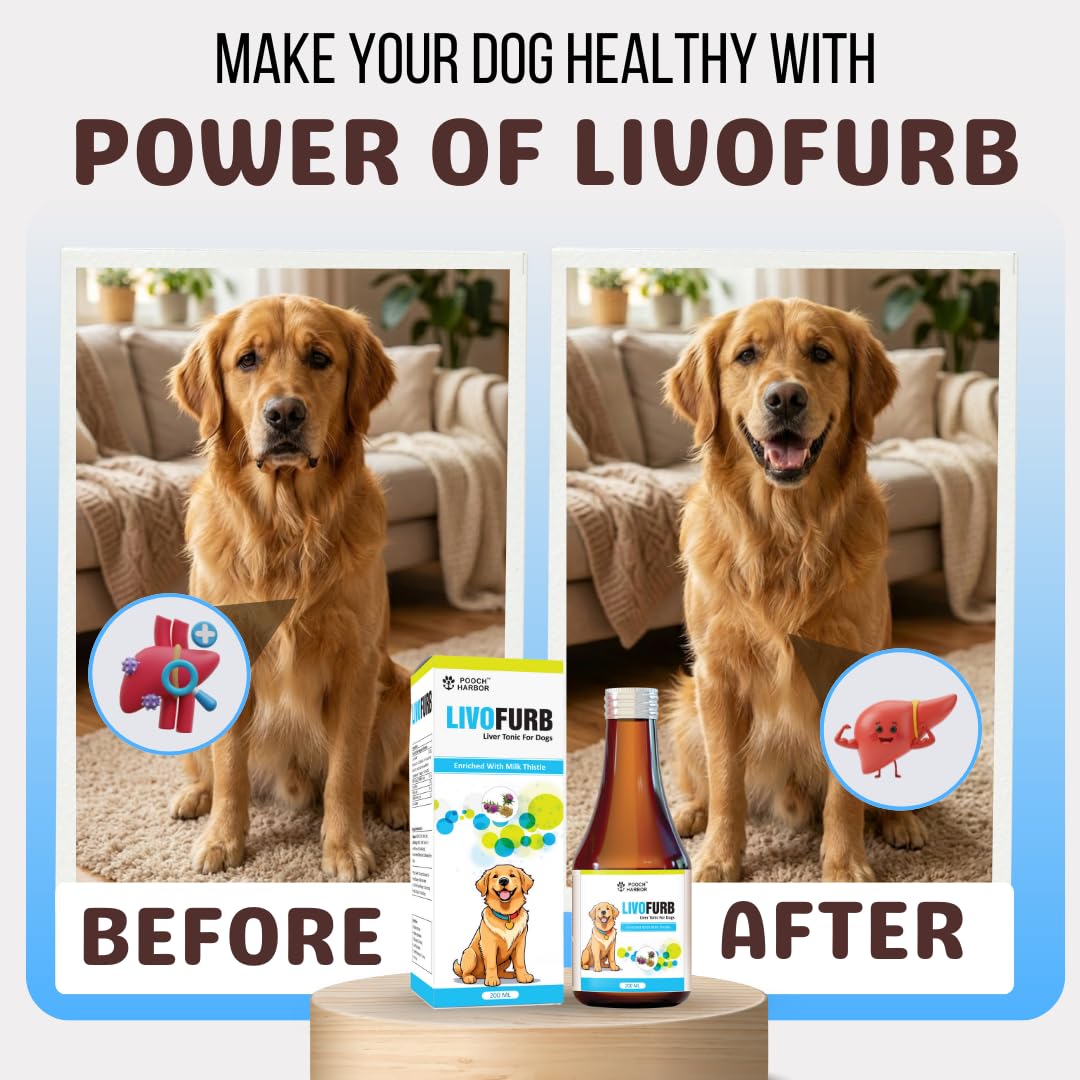 Pooch Harbor LivoFurb Liver Tonic for Dogs & Cats - 200 ML (Pack of 3) 1