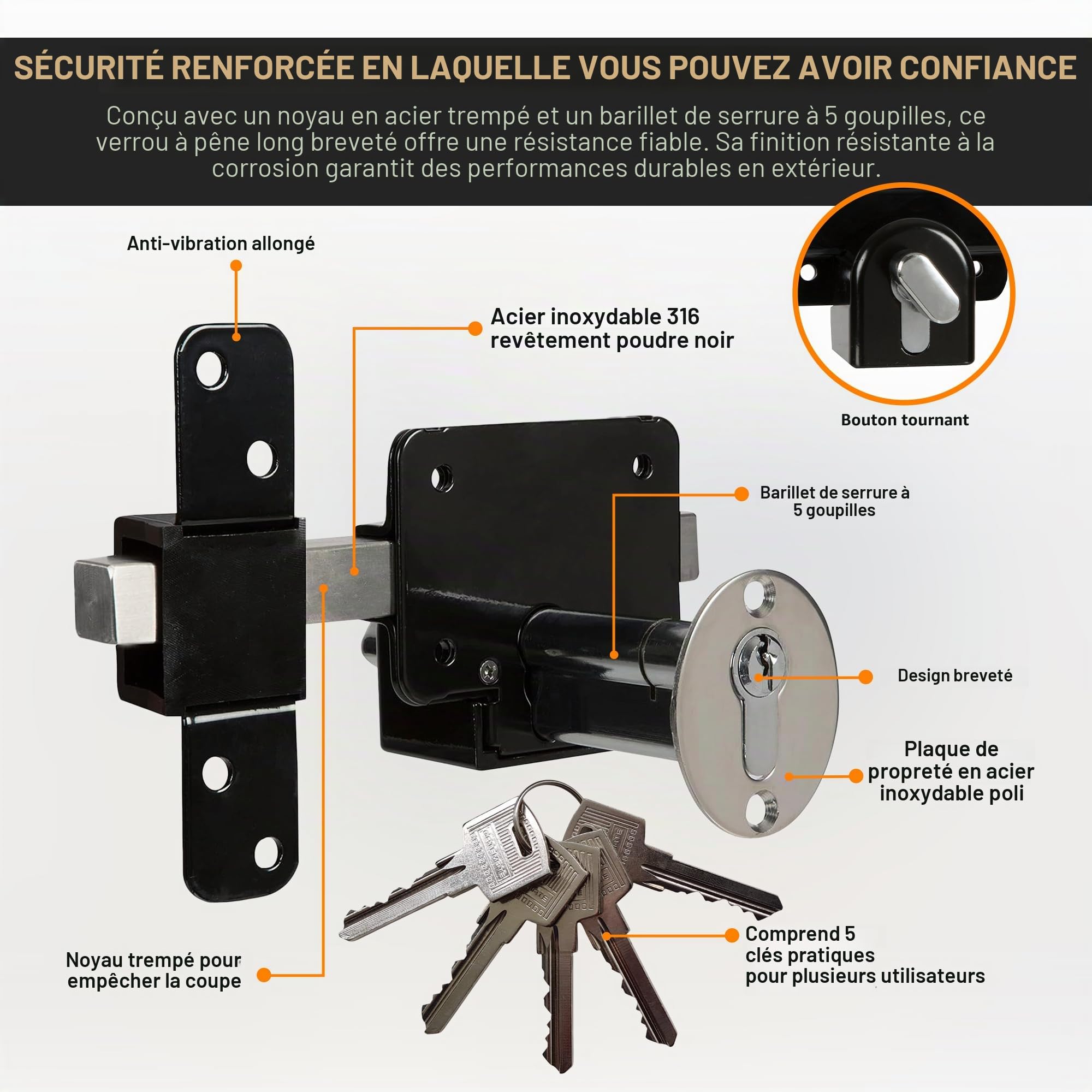 GateMate Serrure de portail à longue portée 1490106, profil européen pour abris de jardin, portails et portes de garage, clés extérieures et intérieures, en acier inoxydable 316, pour portails et