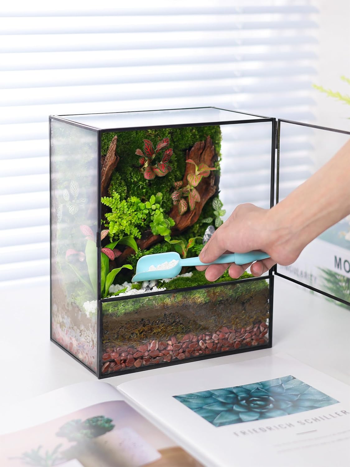 Glass Planter Terrariums with Door, Glass Terrarium Glass Greenhouse, Geometric Plants Terrariums Planter for Moss, Succulent, Indoor Tabletop Centerpiece, Rectangle, Black (Terrarium ONLY)