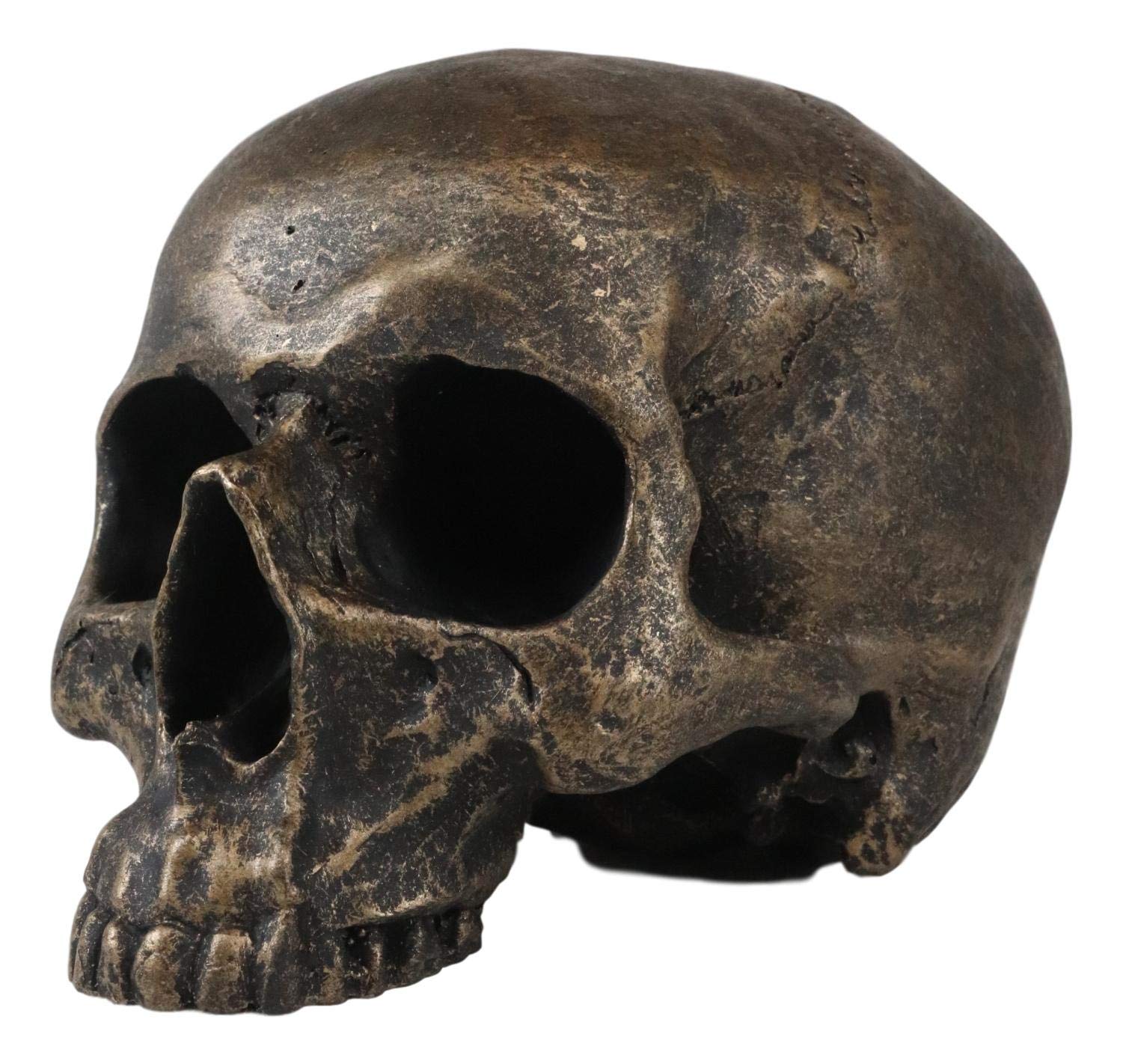 Amazon.com: Ebros Gift Pirate Treasure Relic Brushed Gold Rust