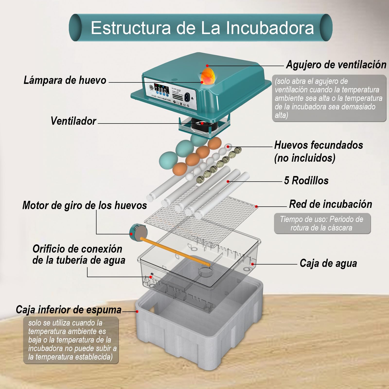 CoInceptus Incubadora Huevos Gallina, Incubadora de 12-16 Huevos con Volteo Automático de Huevos y Humidificación automática, Incubadora para Huevos de Gallina, Codorniz, Pato, con Lámpara de Huevo