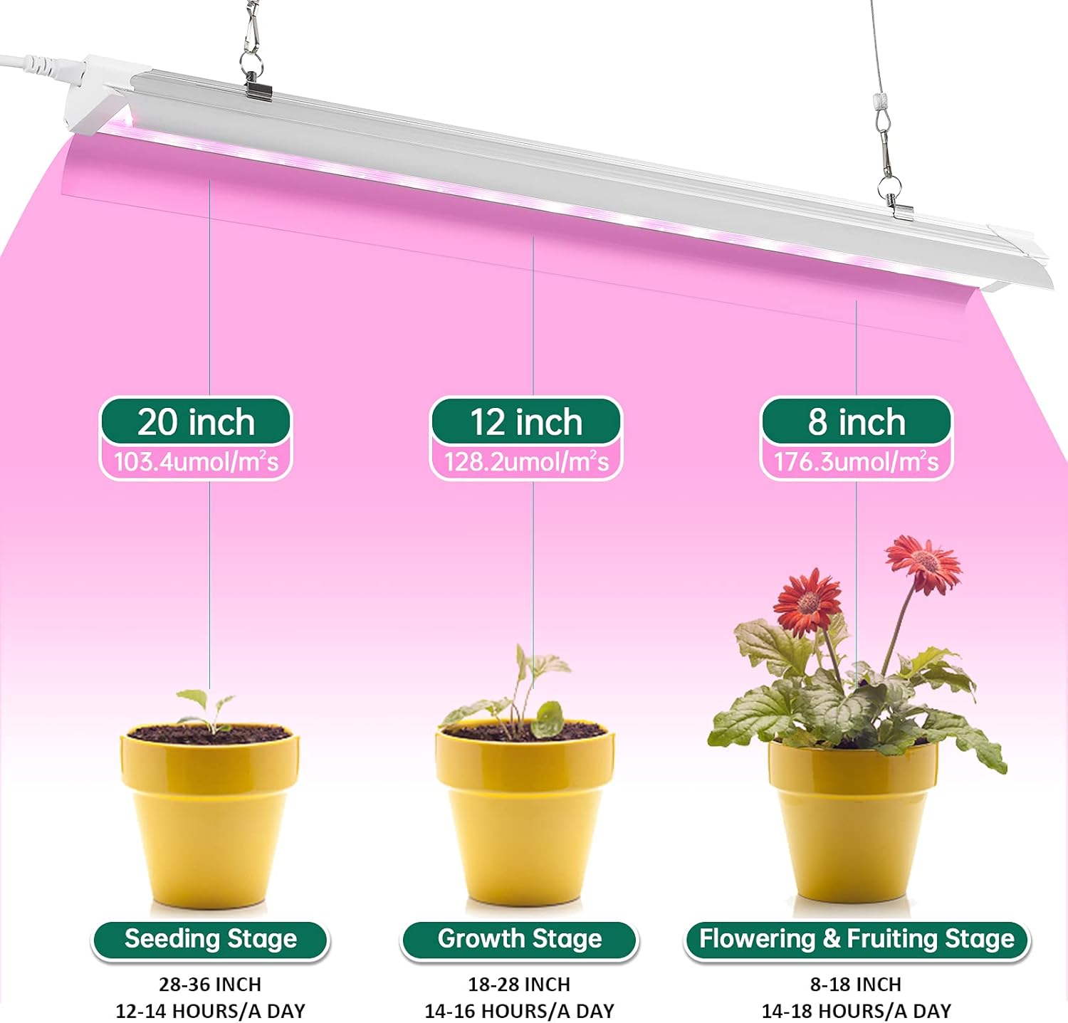 Buy SZHLUX LED Grow Light for Indoor Plants 2FT 240W (6×40W, 1200W Equivalent) Full Spectrum