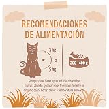 Ver la foto 3