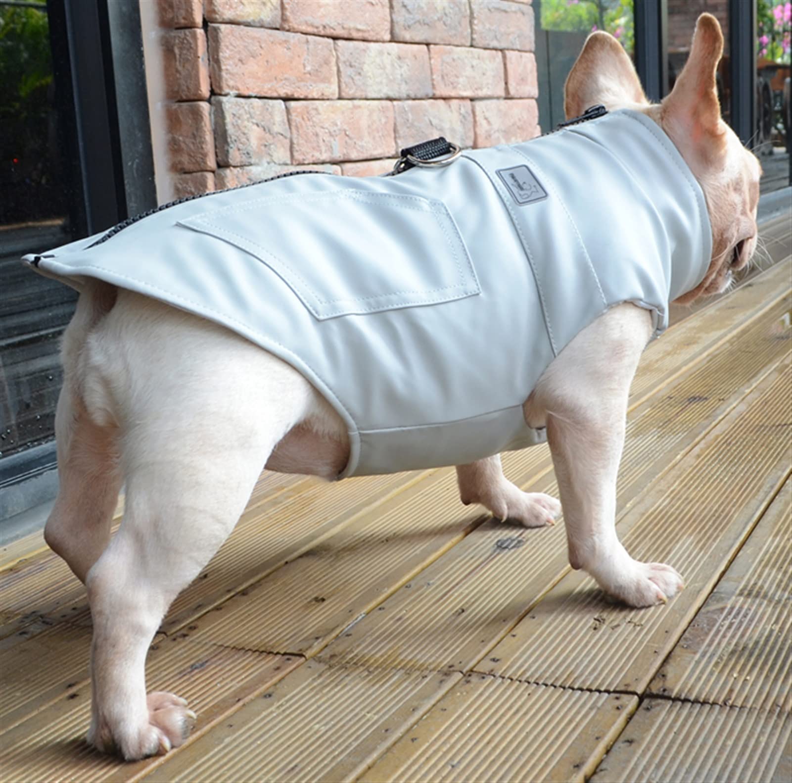 DHGTEP Small Medium Leather Dog Coat With Harness, Leather Dog Jacket Coat Warm Winter Dog Clothes Waterproof For French Bulldog (Color : Blue, Size : XL)