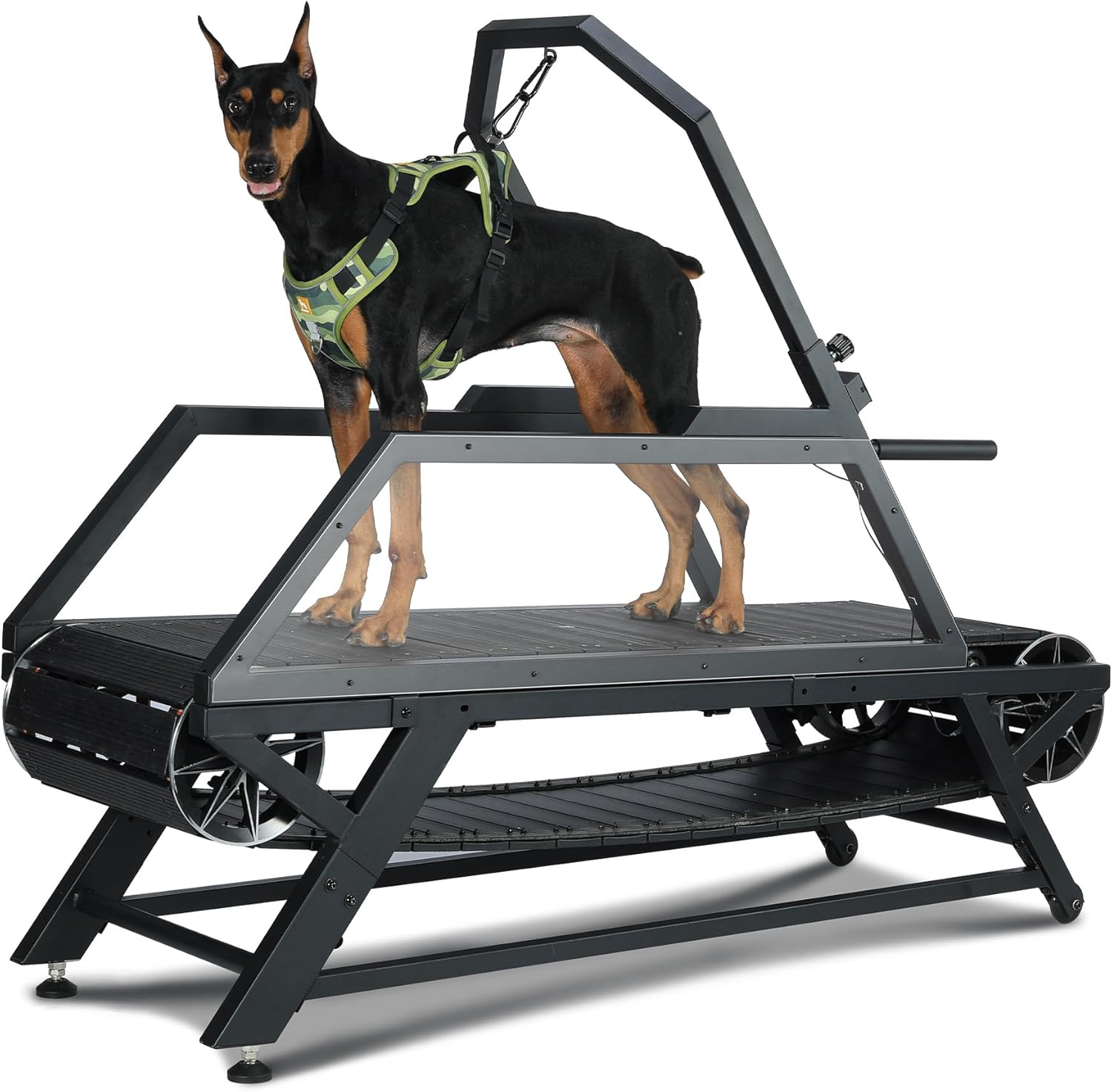 Buy Dog Treadmill for Large Medium Dogs Online Bahrain Ubuy