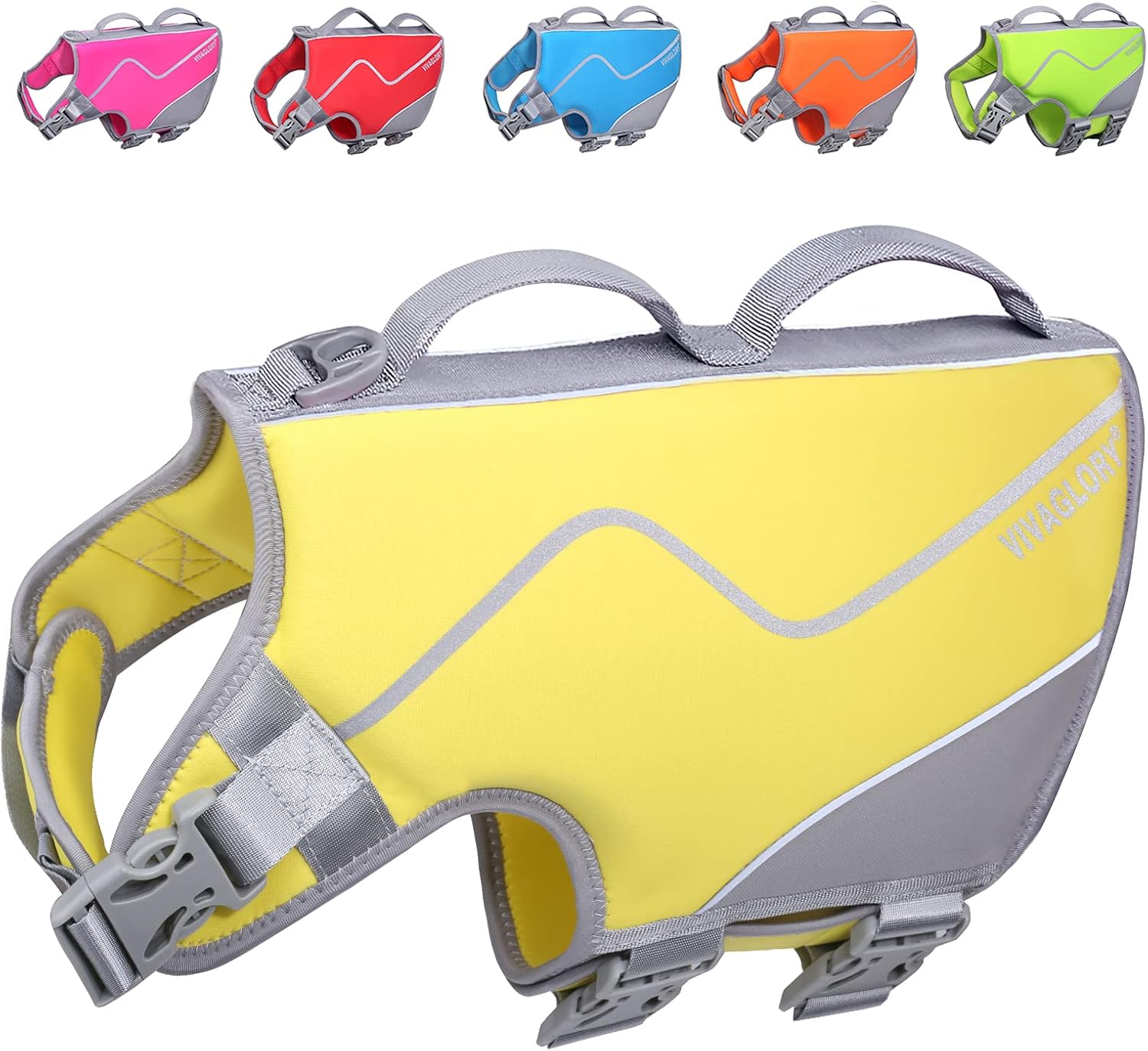 Chew-Proof Dog Leash + Dog Life Jacket